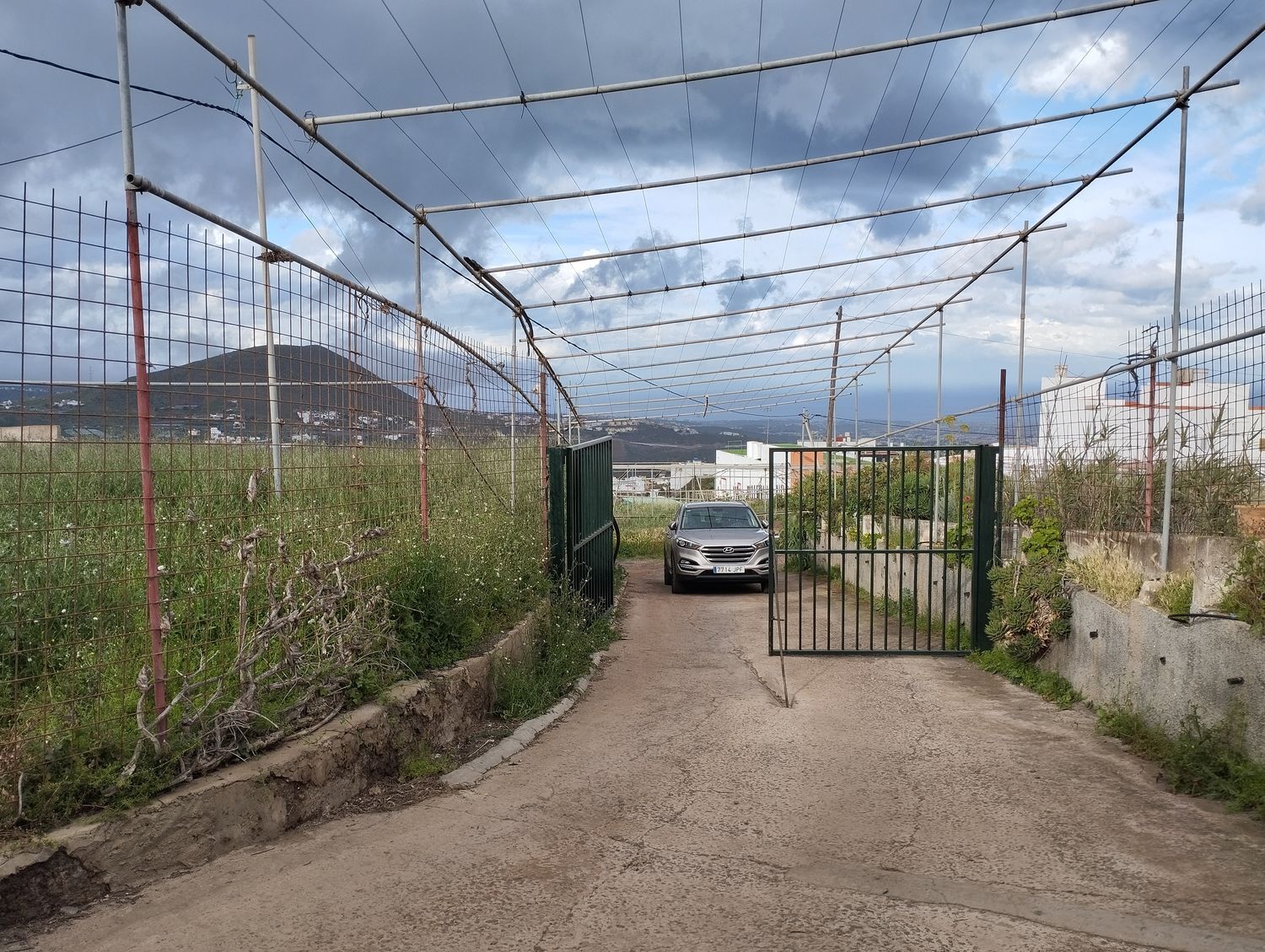 Fincas y solares-Venta-Telde-2194022-Foto-5