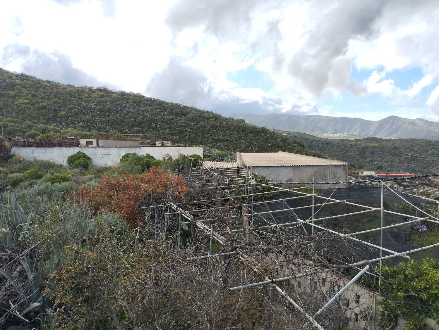 Fincas y solares-Venta-Telde-2194022-Foto-23