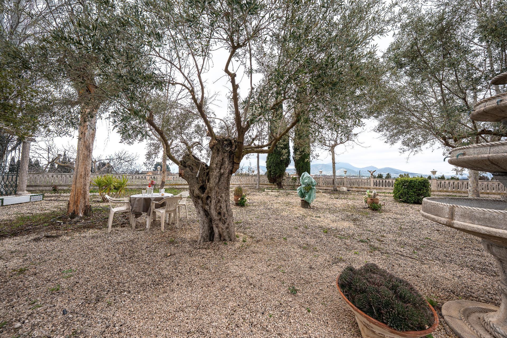 Pisos-Venta-El Bonillo-2153072-Foto-38