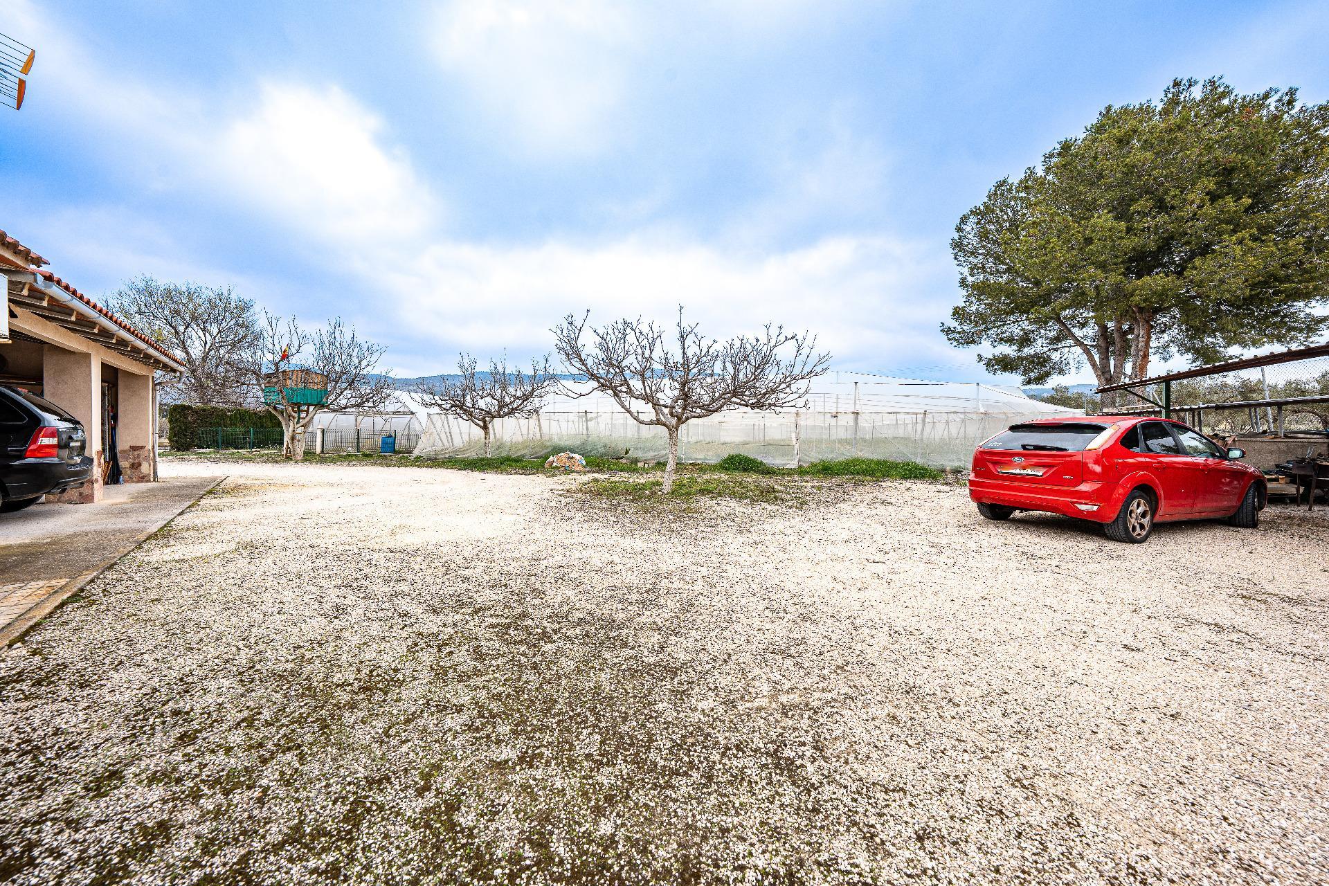 Pisos-Venta-El Bonillo-2153072-Foto-48