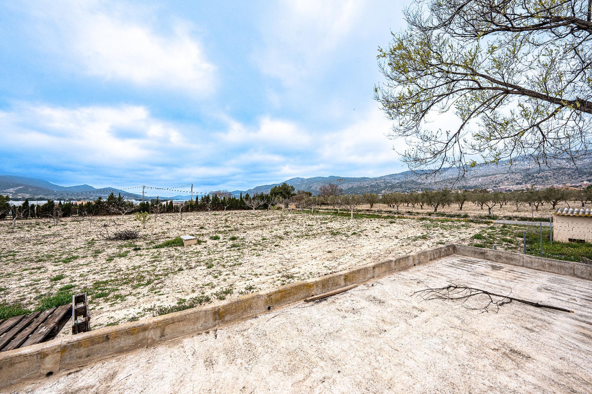 Pisos-Venta-El Bonillo-2153072-Foto-53