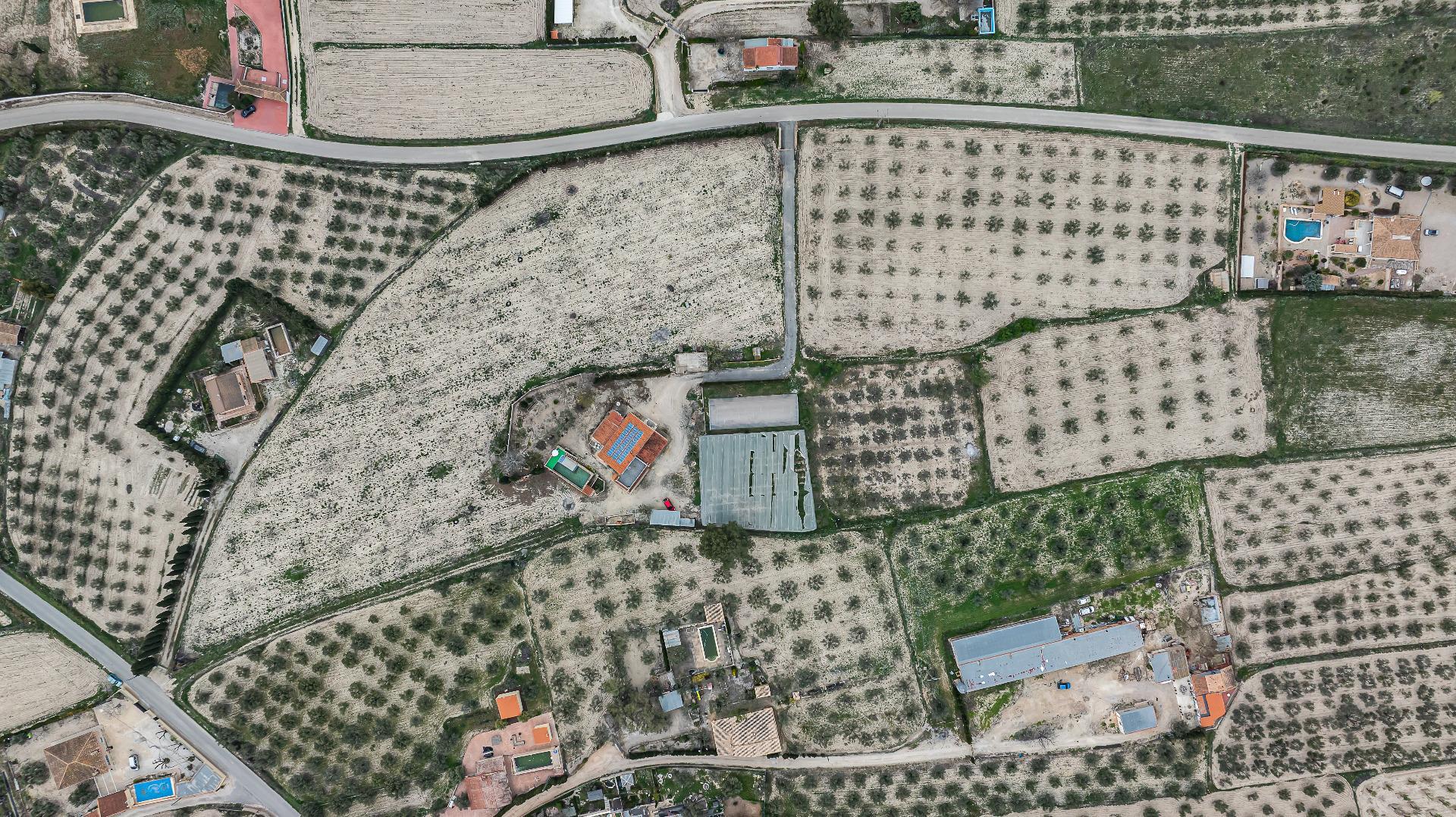 Pisos-Venta-El Bonillo-2153072-Foto-59