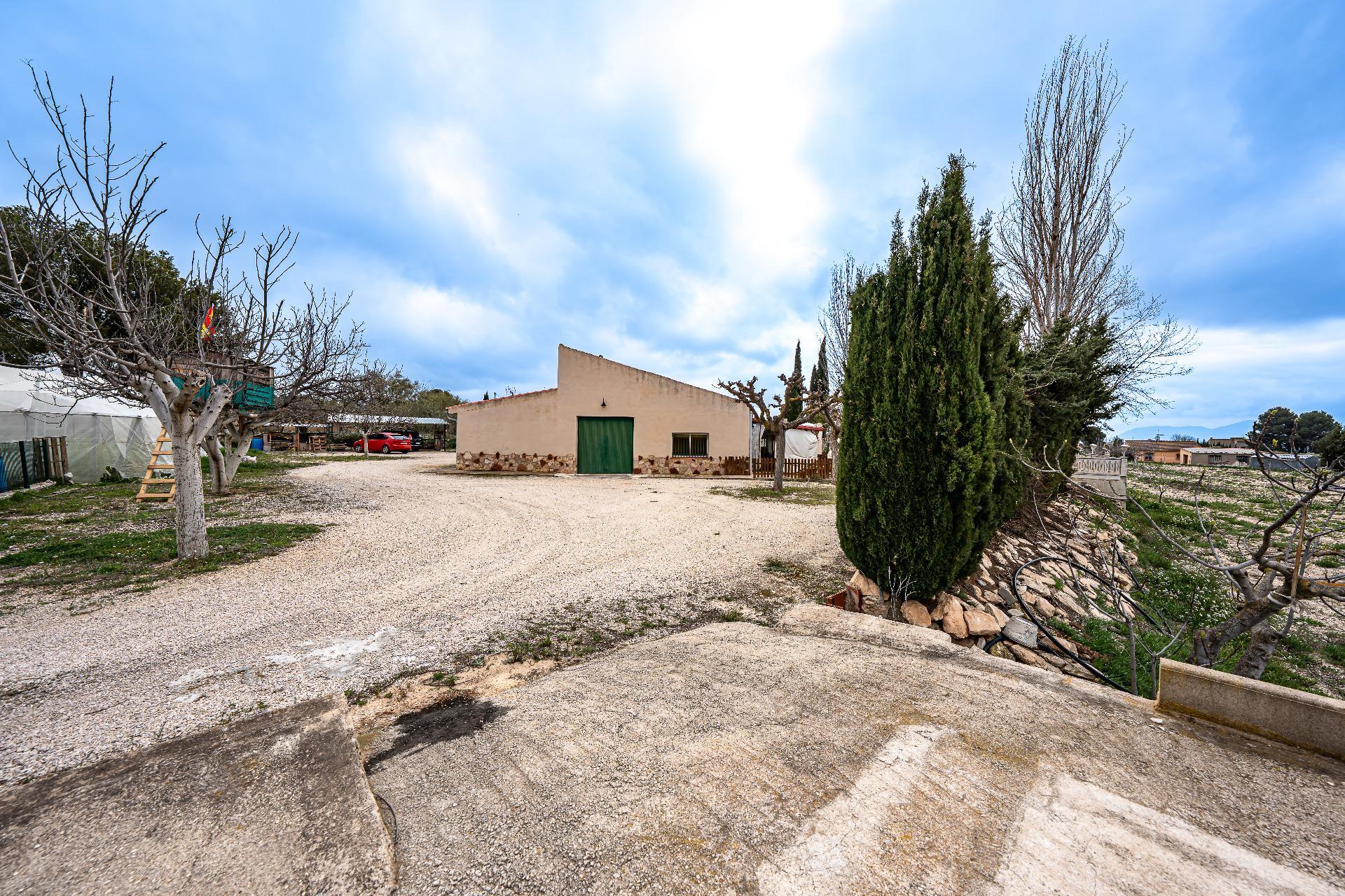 Pisos-Venta-El Bonillo-2153072-Foto-56