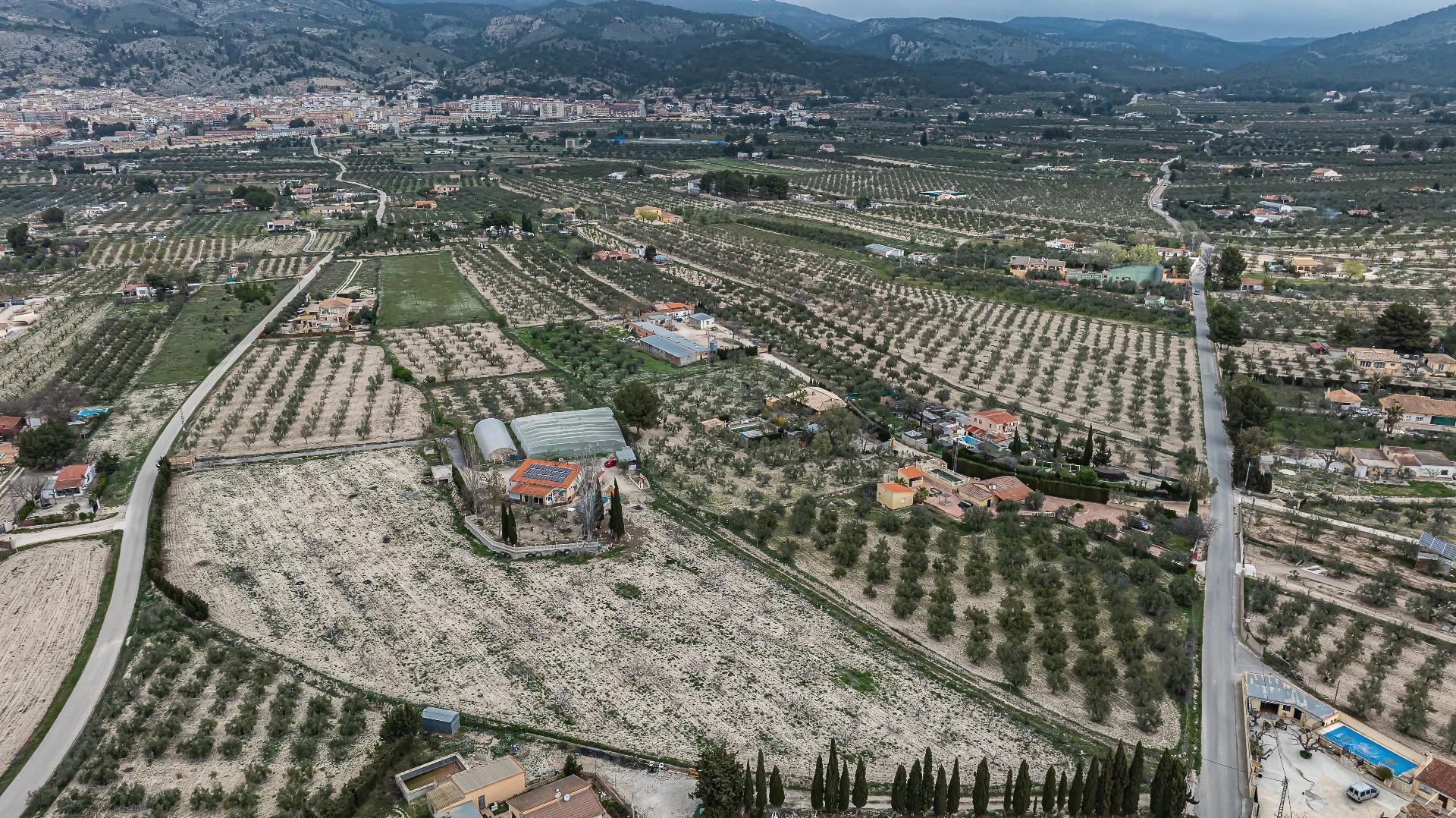 Pisos-Venta-El Bonillo-2153072-Foto-64