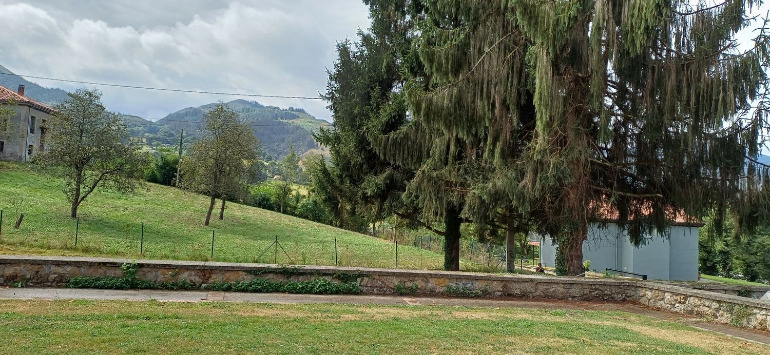 Casas o chalets-Venta-Las Navas del MarquÃ©s-1834040-Foto-13