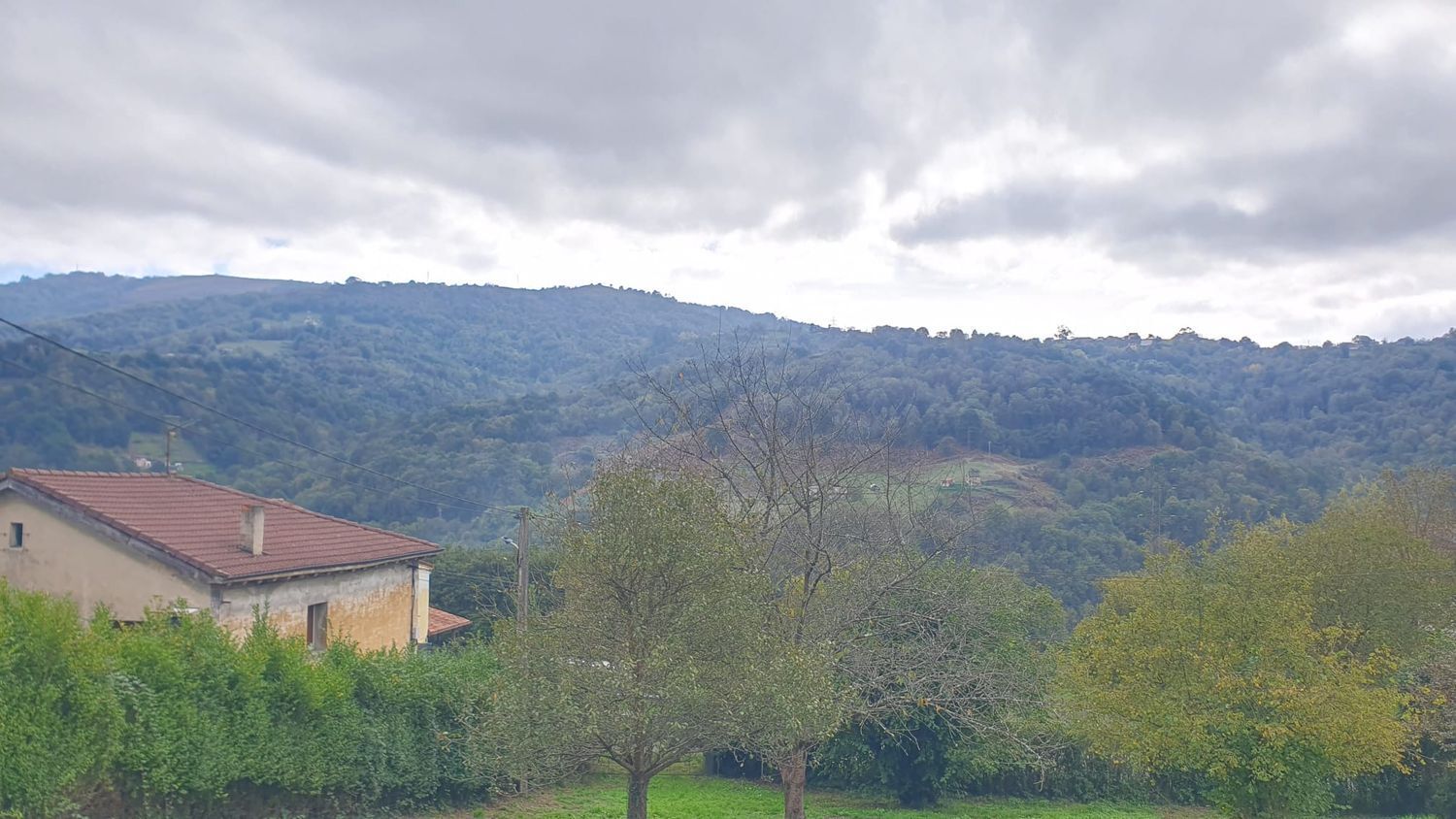 Fincas y solares-Venta-Langreo-1942388-Foto-7