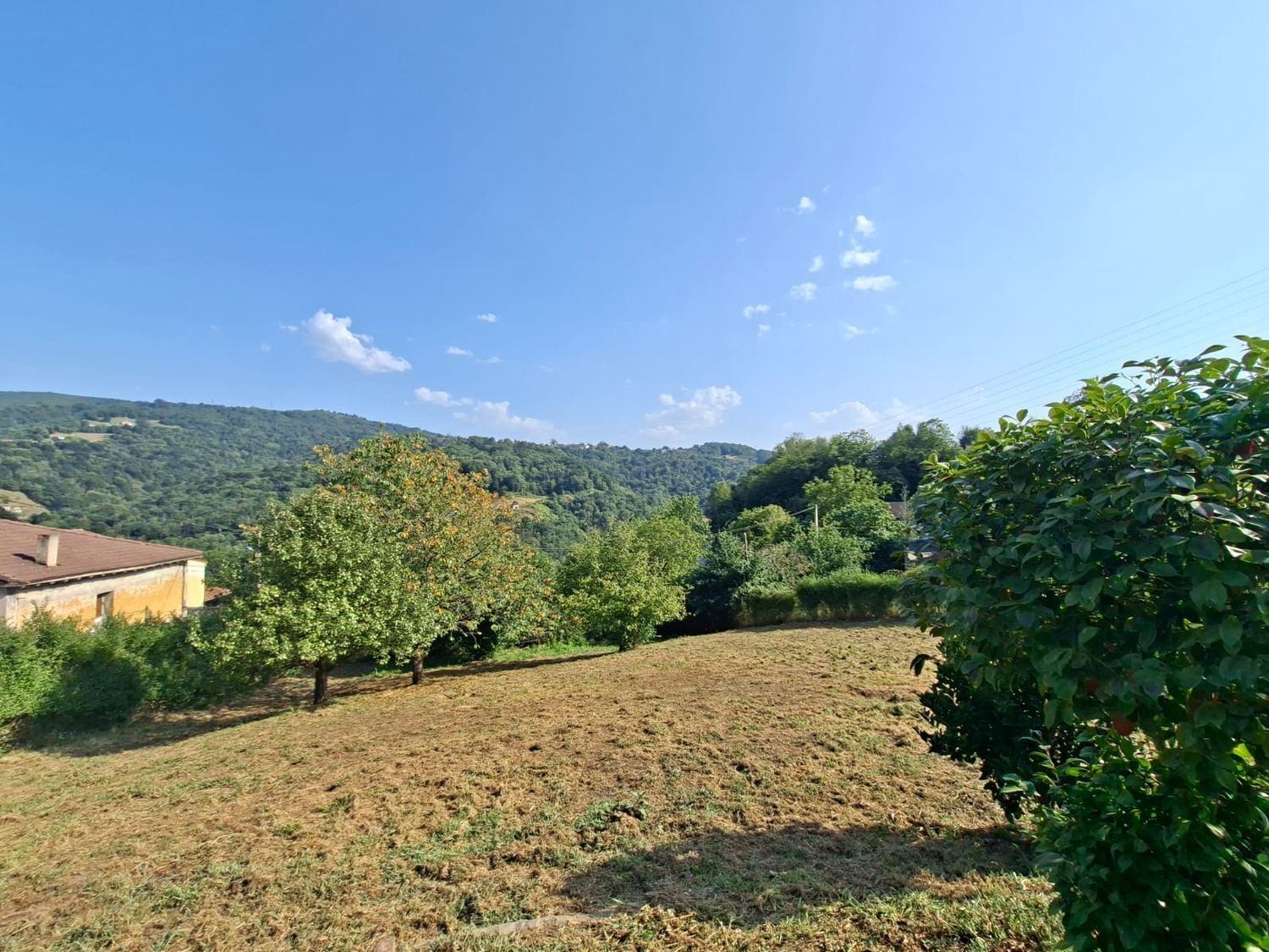 Fincas y solares-Venta-Langreo-1942388-Foto-15