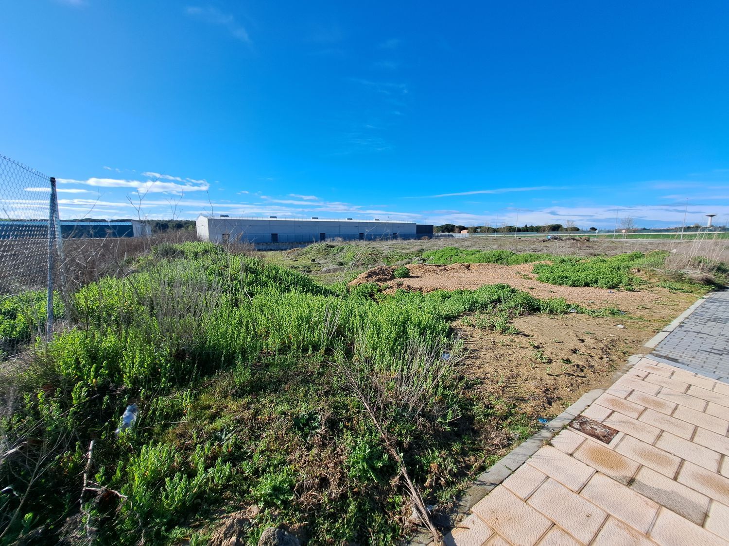 Fincas y solares-Venta-Laguna de Duero-1834960-Foto-4