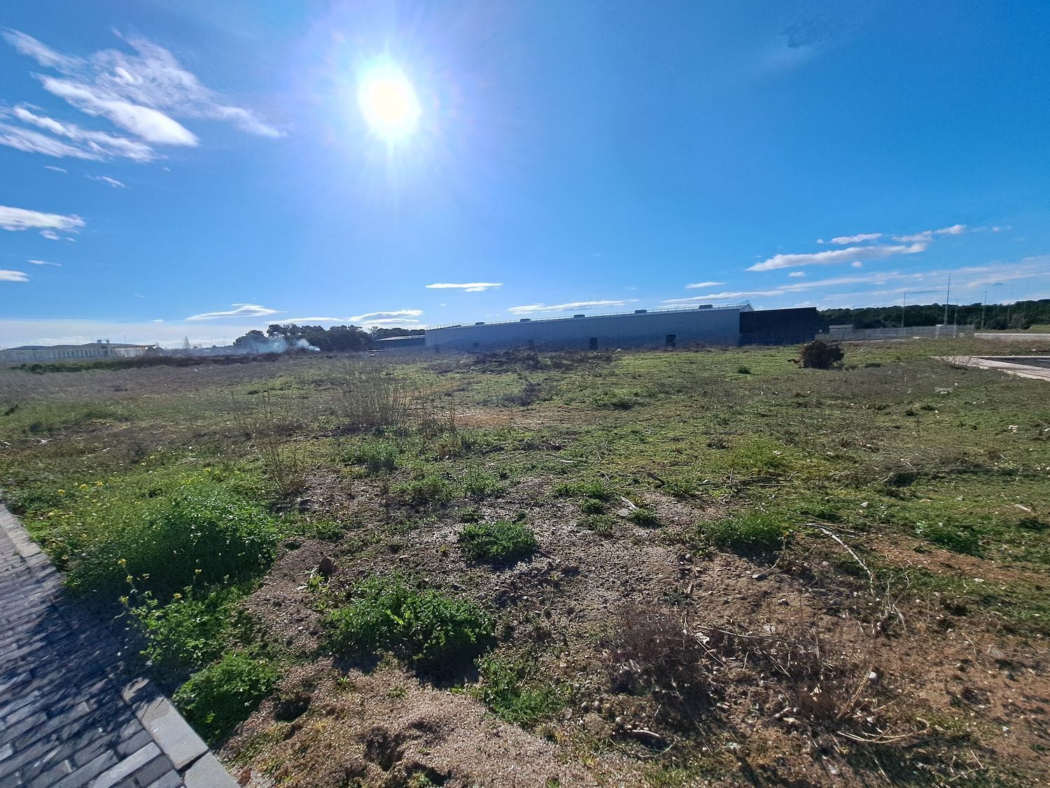 Fincas y solares-Venta-Laguna de Duero-1834960-Foto-6