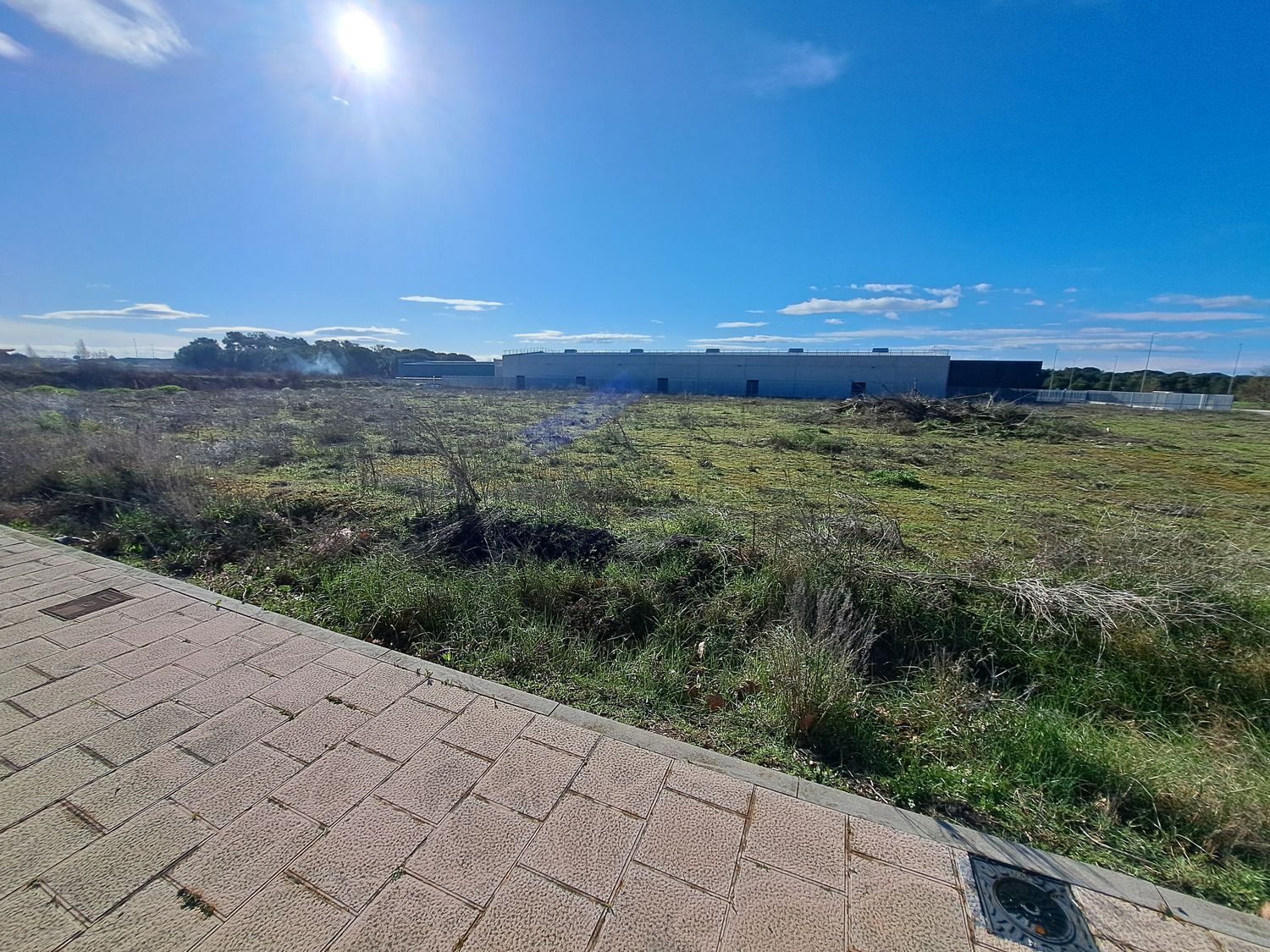 Fincas y solares-Venta-Laguna de Duero-1834960-Foto-5