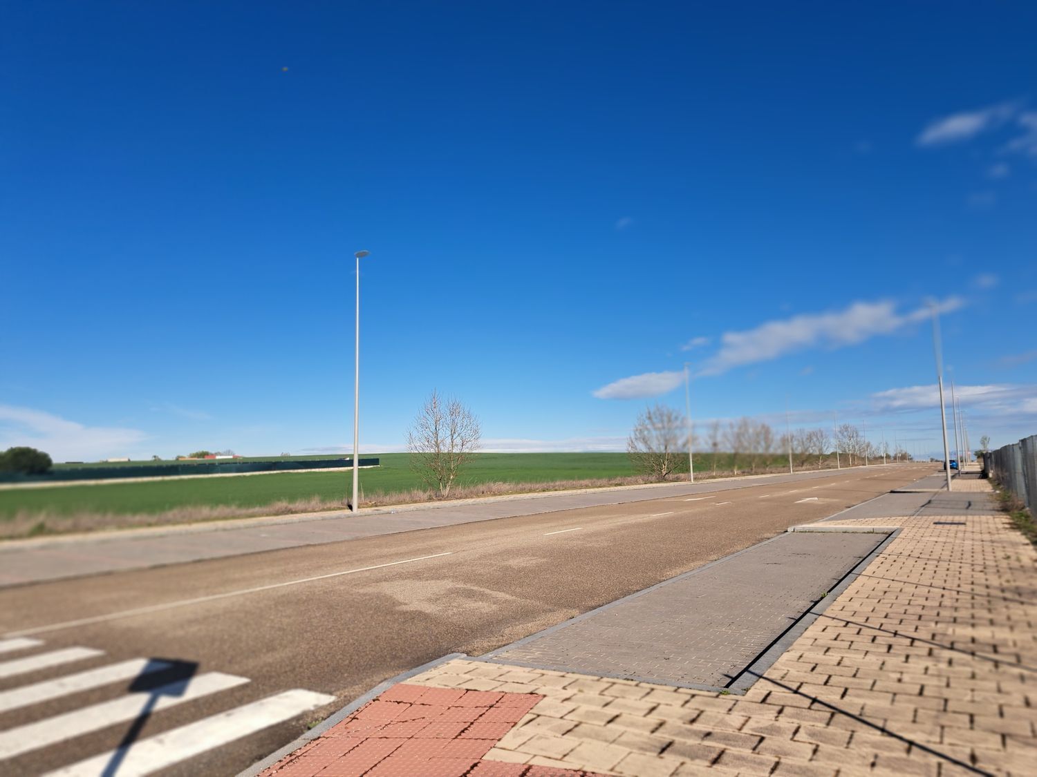 Fincas y solares-Venta-Laguna de Duero-1834960-Foto-7