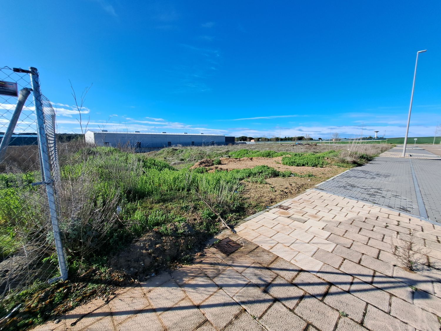 Fincas y solares-Venta-Laguna de Duero-1834960-Foto-9