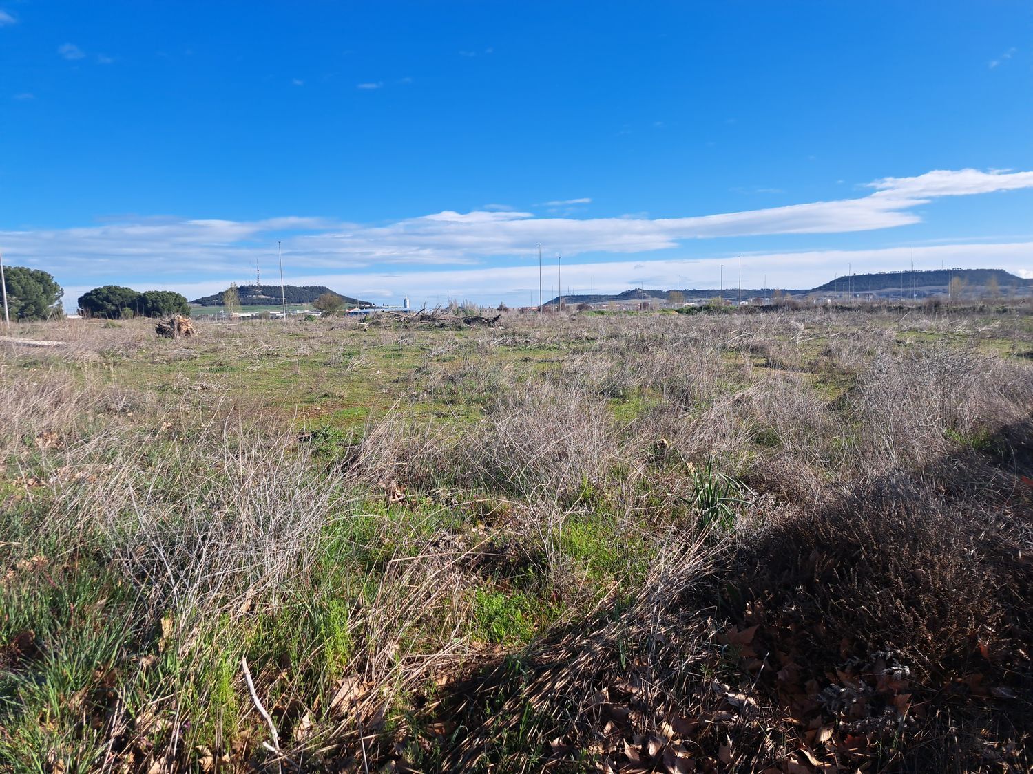 Fincas y solares-Venta-Laguna de Duero-1834960-Foto-17