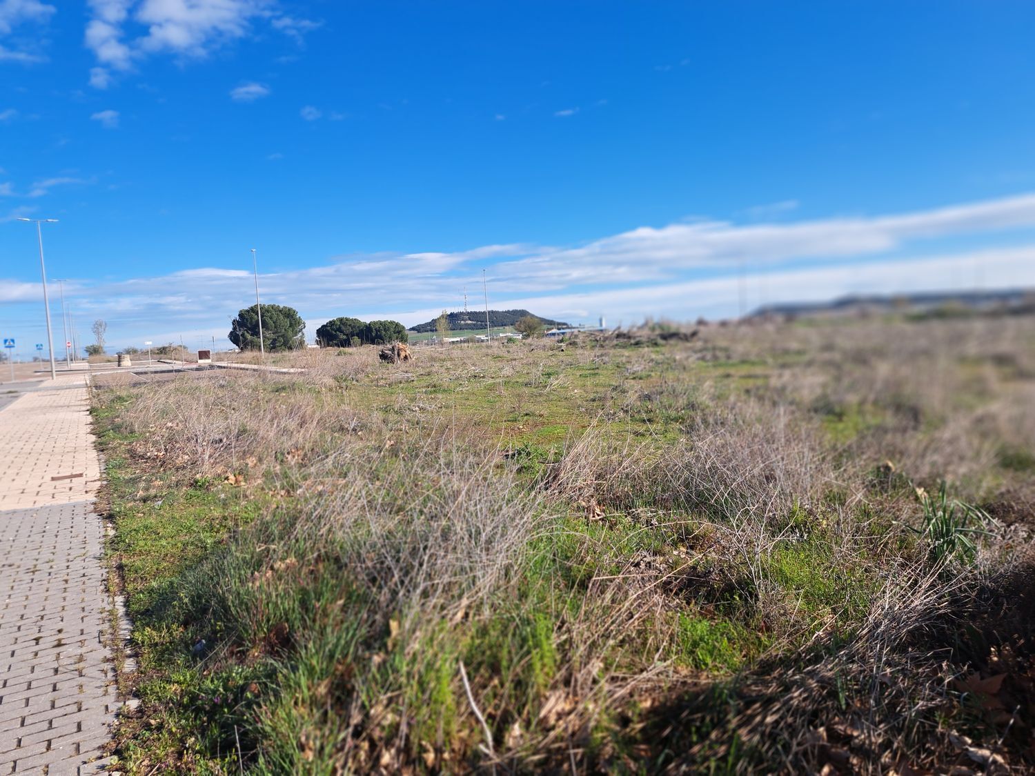 Fincas y solares-Venta-Laguna de Duero-1834960-Foto-16