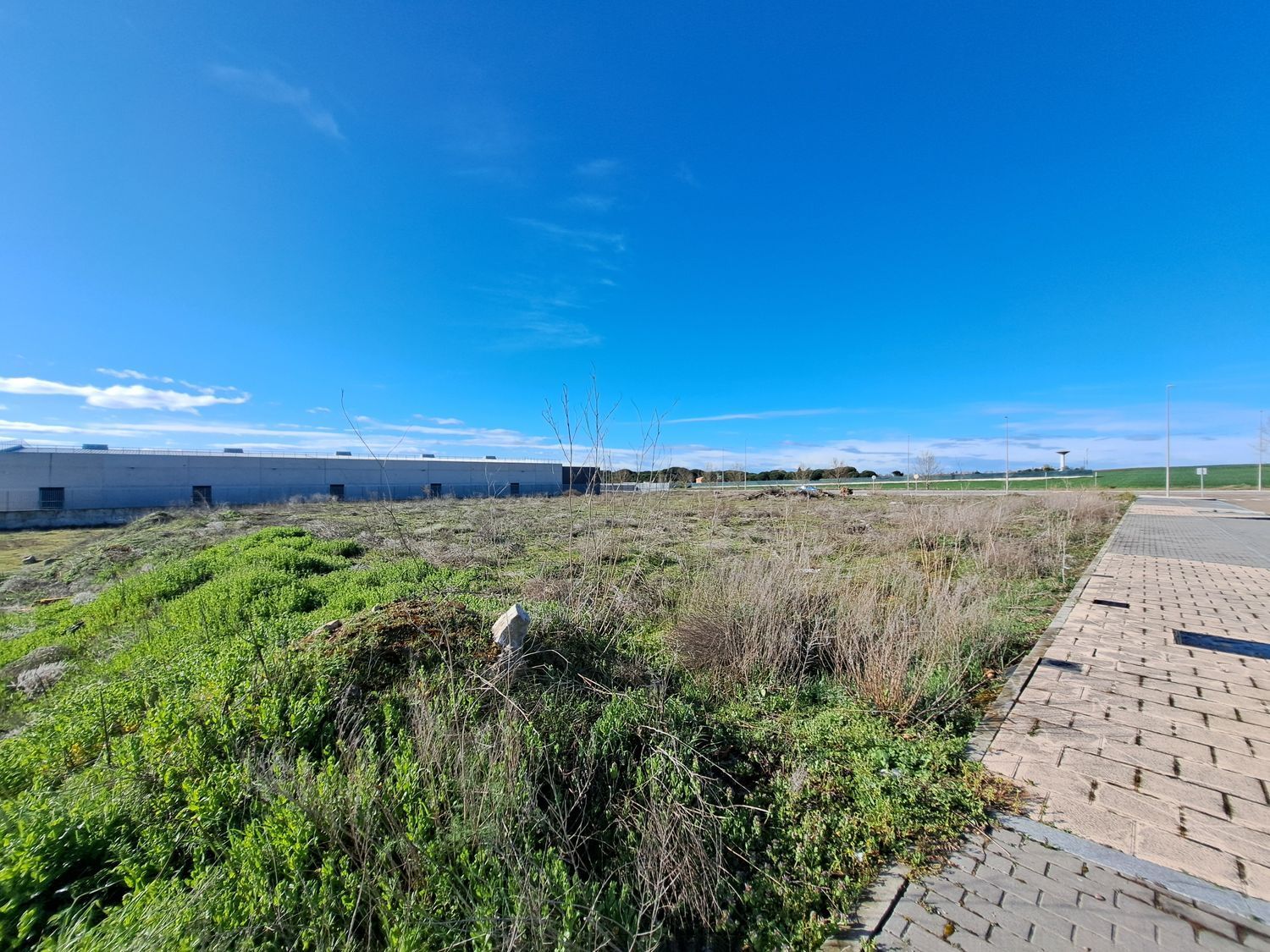 Fincas y solares-Venta-Laguna de Duero-1834960-Foto-19