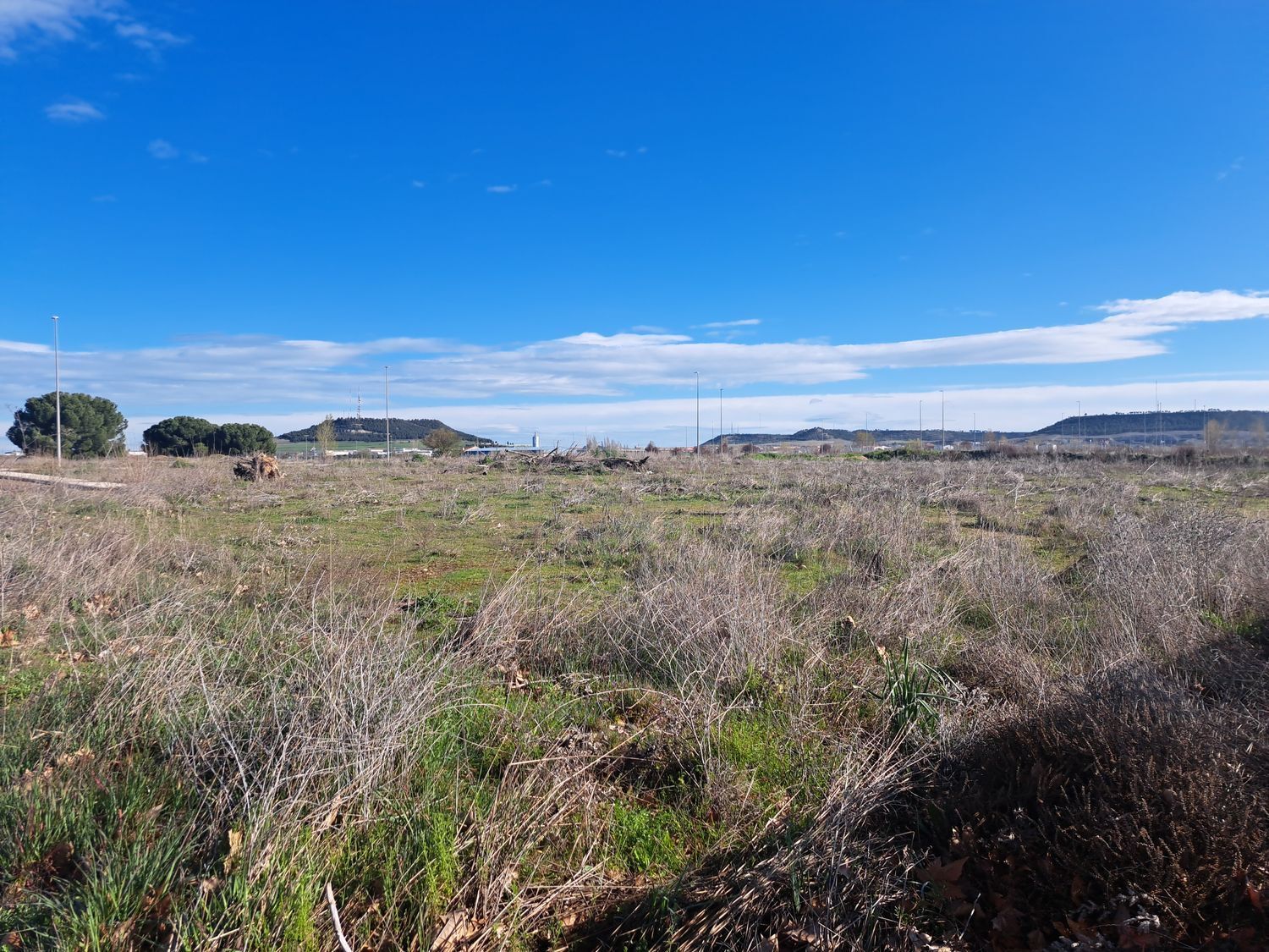 Fincas y solares-Venta-Laguna de Duero-1834960-Foto-20