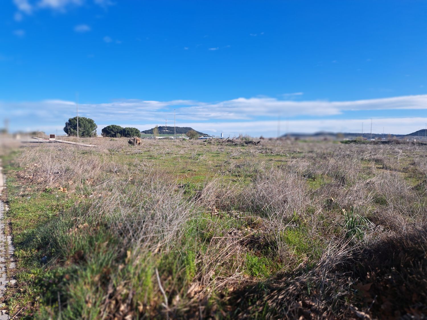 Fincas y solares-Venta-Laguna de Duero-1834960-Foto-25