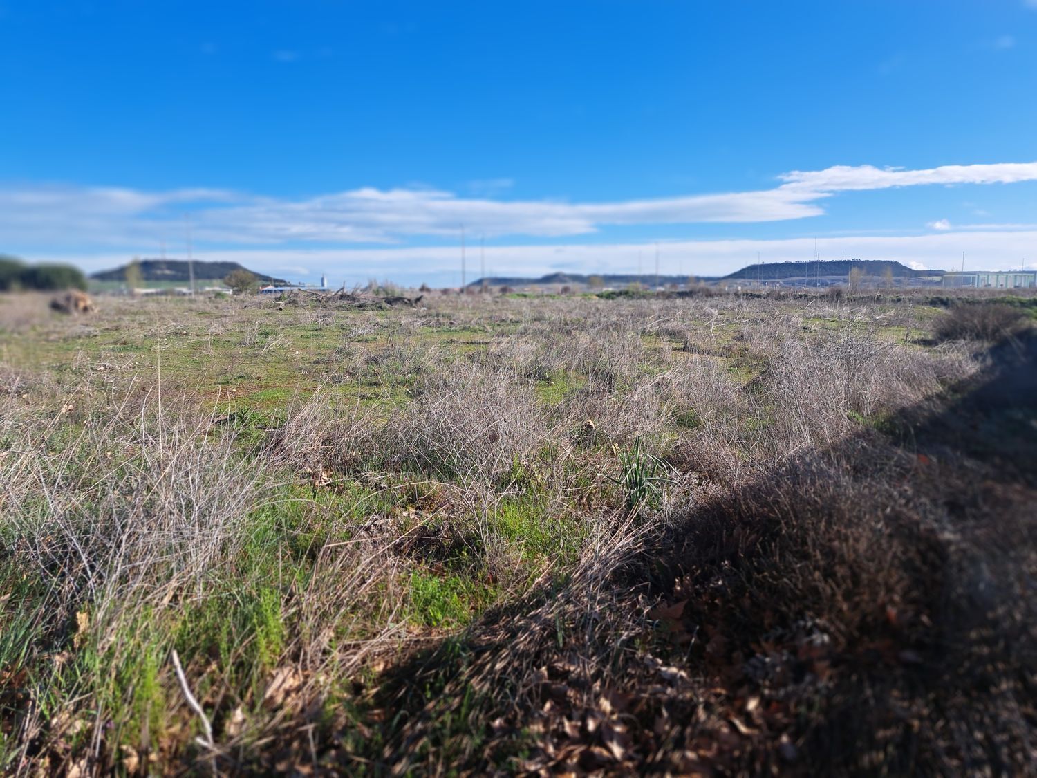 Fincas y solares-Venta-Laguna de Duero-1834960-Foto-24