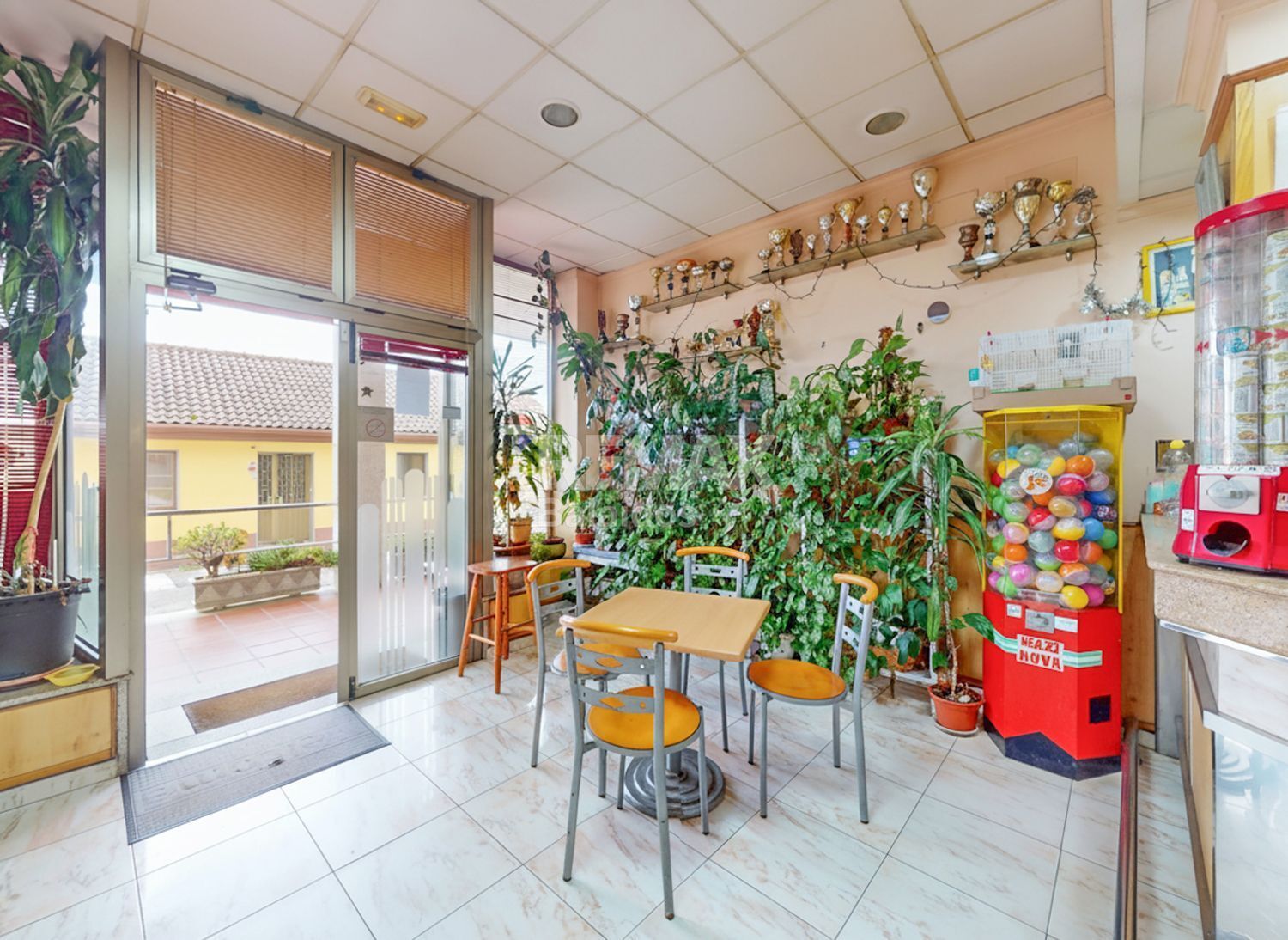 Negocios-Venta-TomiÃ±o-2200122-Foto-32