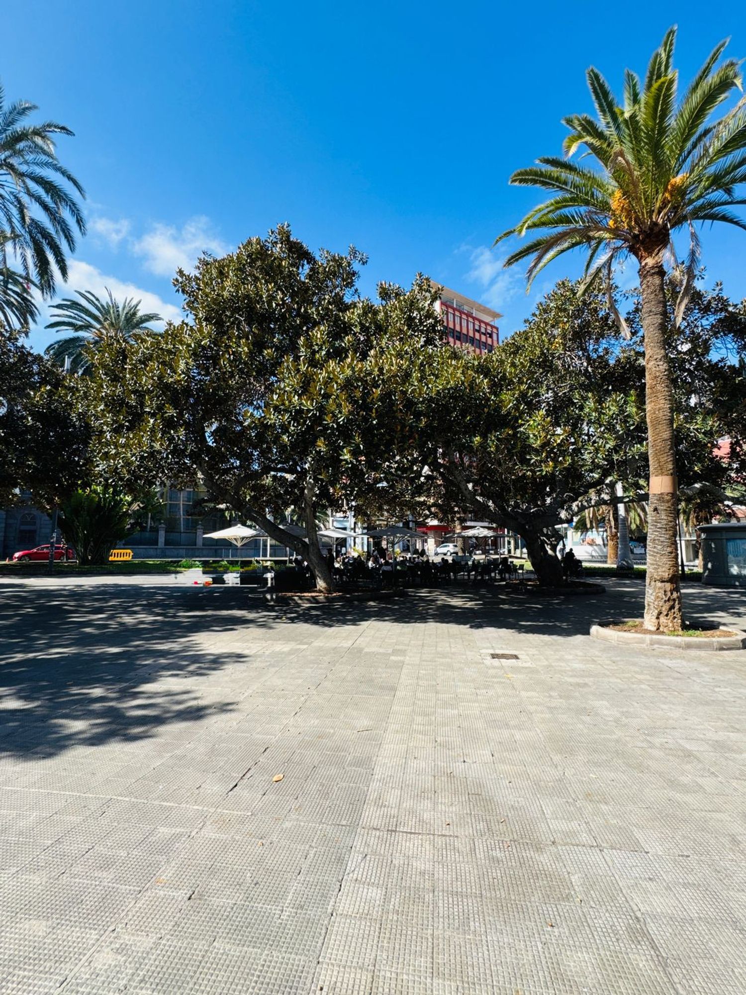 Pisos-Venta-Las Palmas de Gran Canaria-2086144-Foto-36
