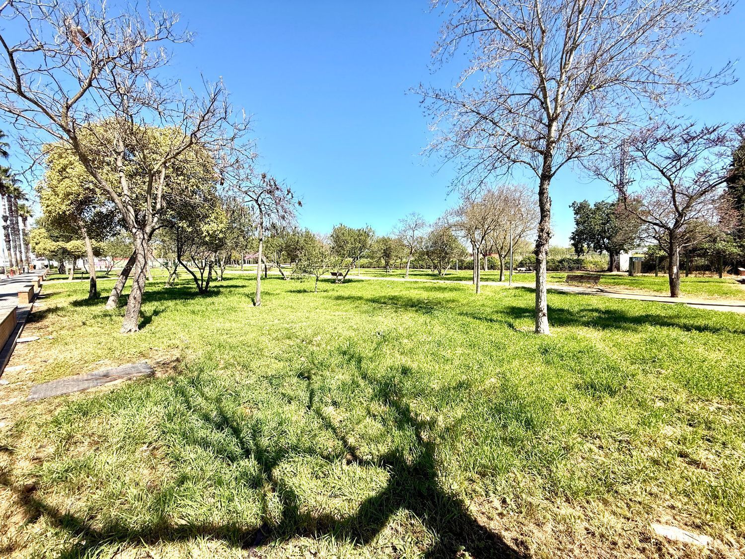 Casas o chalets-Venta-Almensilla-2200173-Foto-47