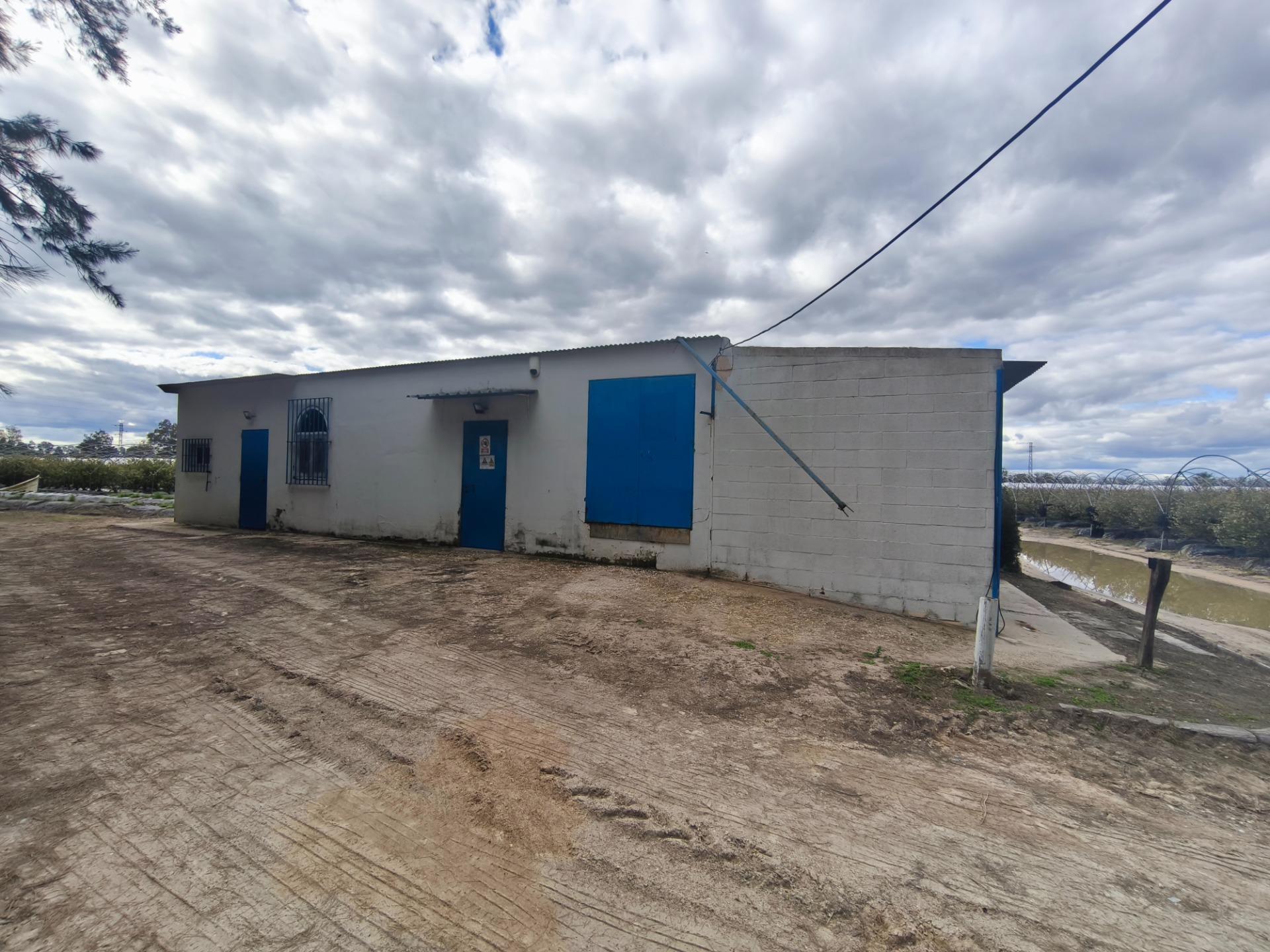 Fincas y solares-Venta-Almonte-2200203-Foto-19