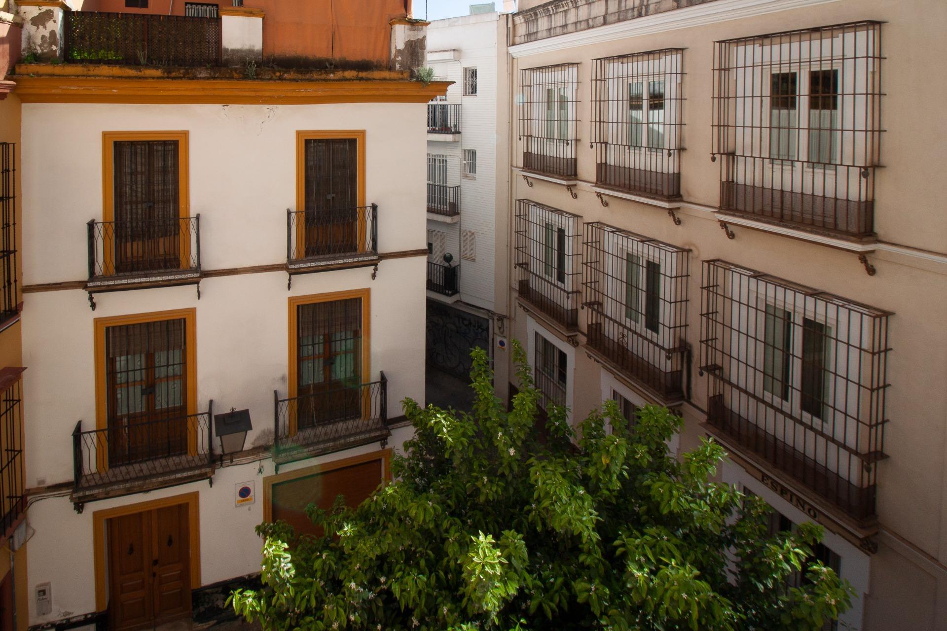 Pisos-Alquiler-Burguillos-2200146-Foto-39