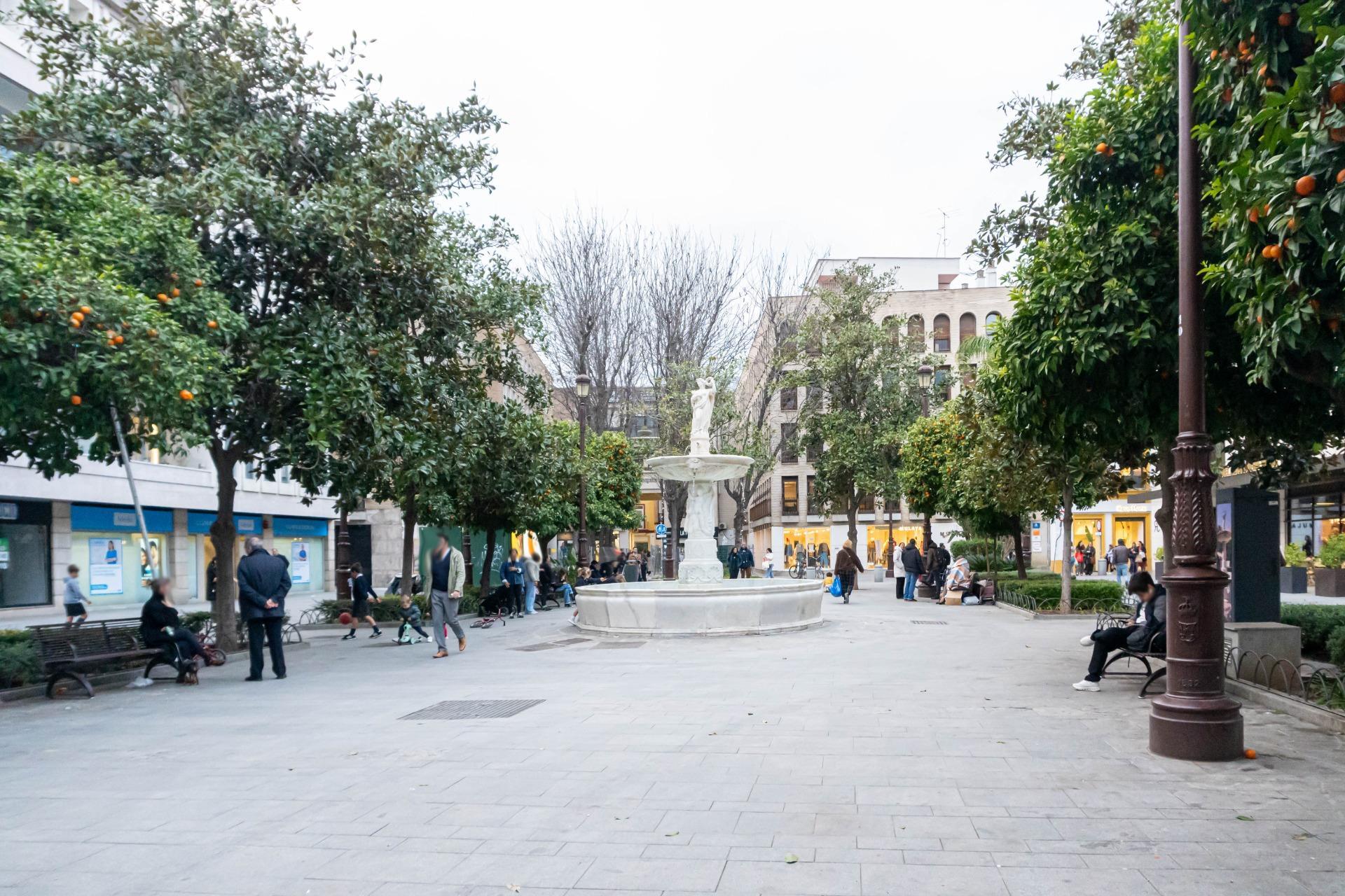 Pisos-Alquiler-Burguillos-2200146-Foto-58