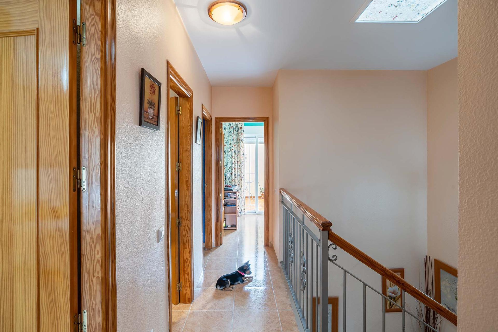 Casas o chalets-Venta-El Ejido-1421942-Foto-11