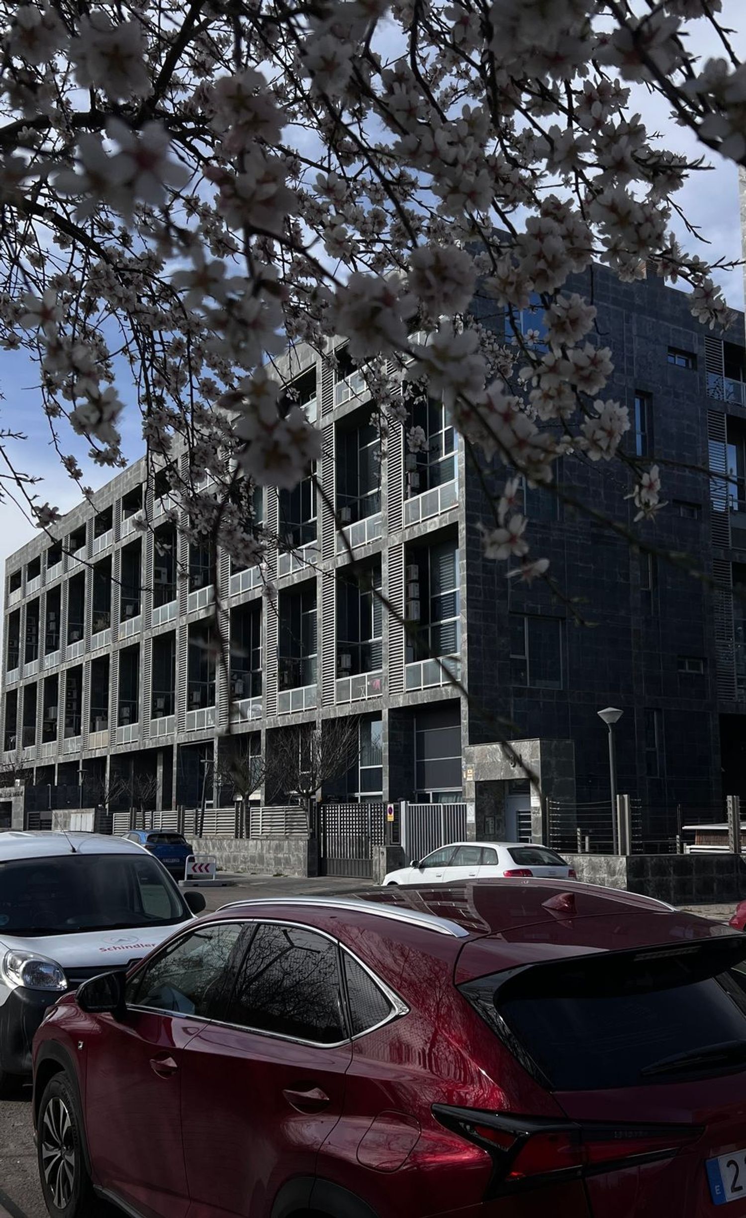 Pisos-Alquiler-Madrid-2200660-Foto-6