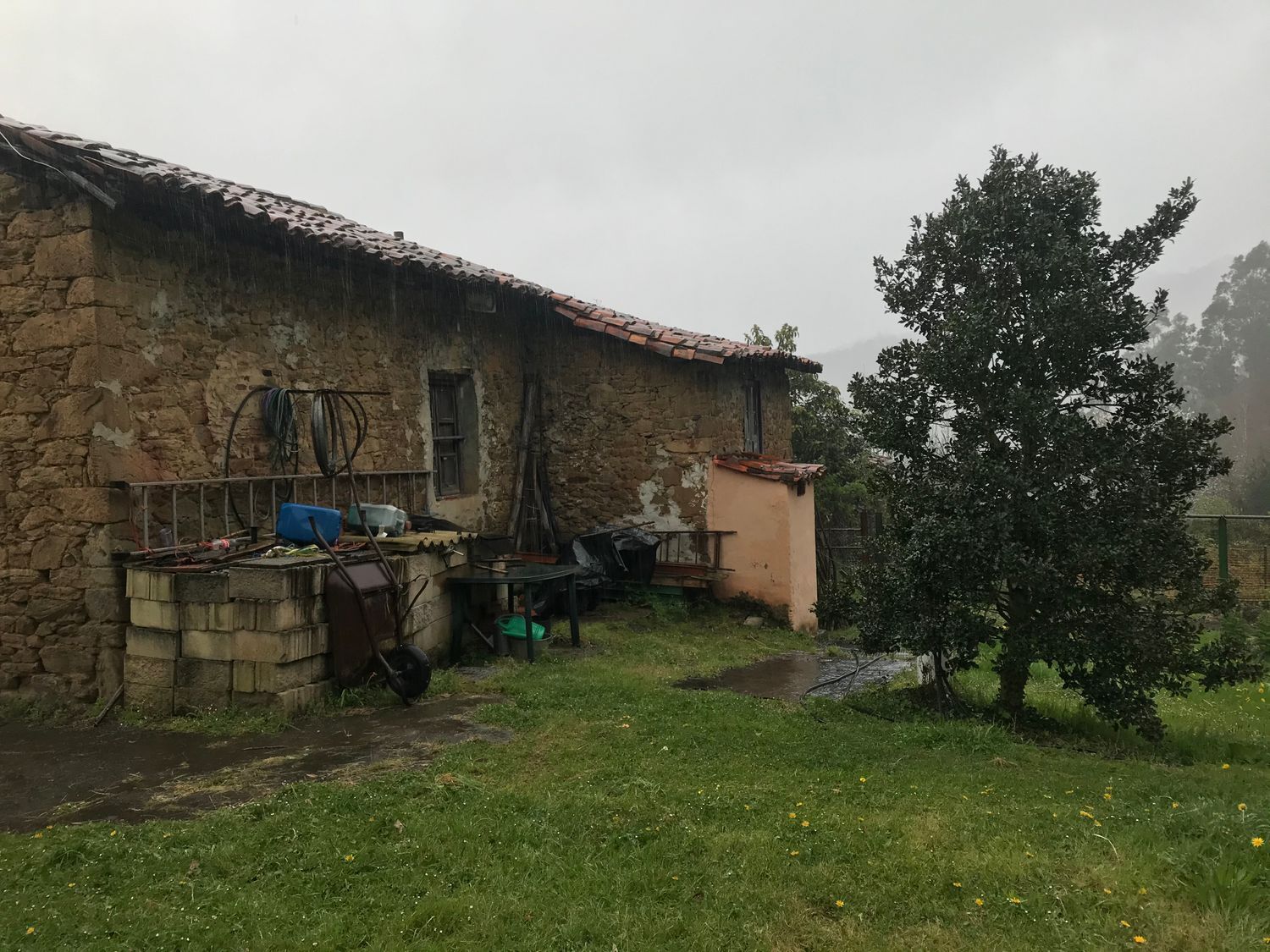 Fincas y solares-Venta-Mieres-447828-Foto-6