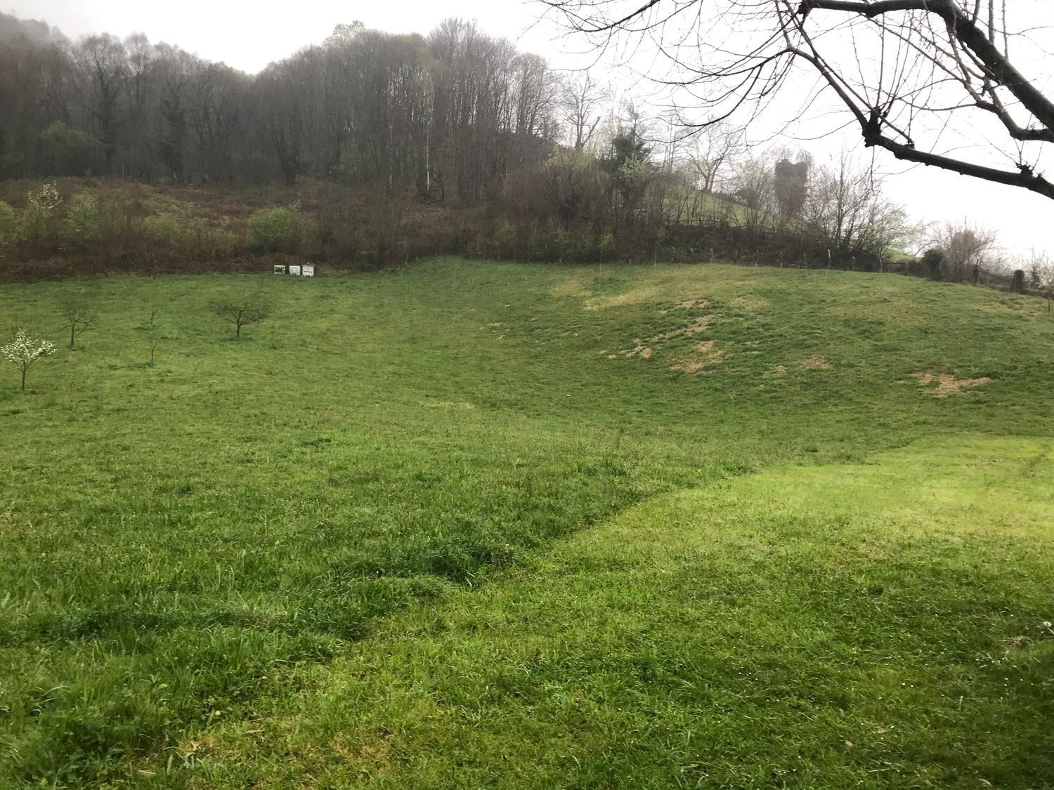 Fincas y solares-Venta-Mieres-447828-Foto-8