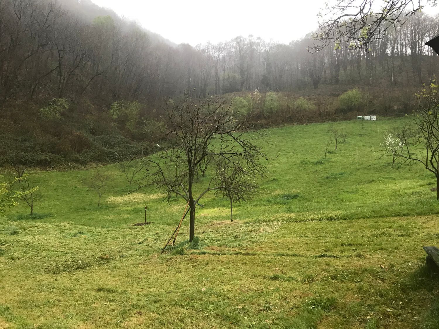 Fincas y solares-Venta-Mieres-447828-Foto-11