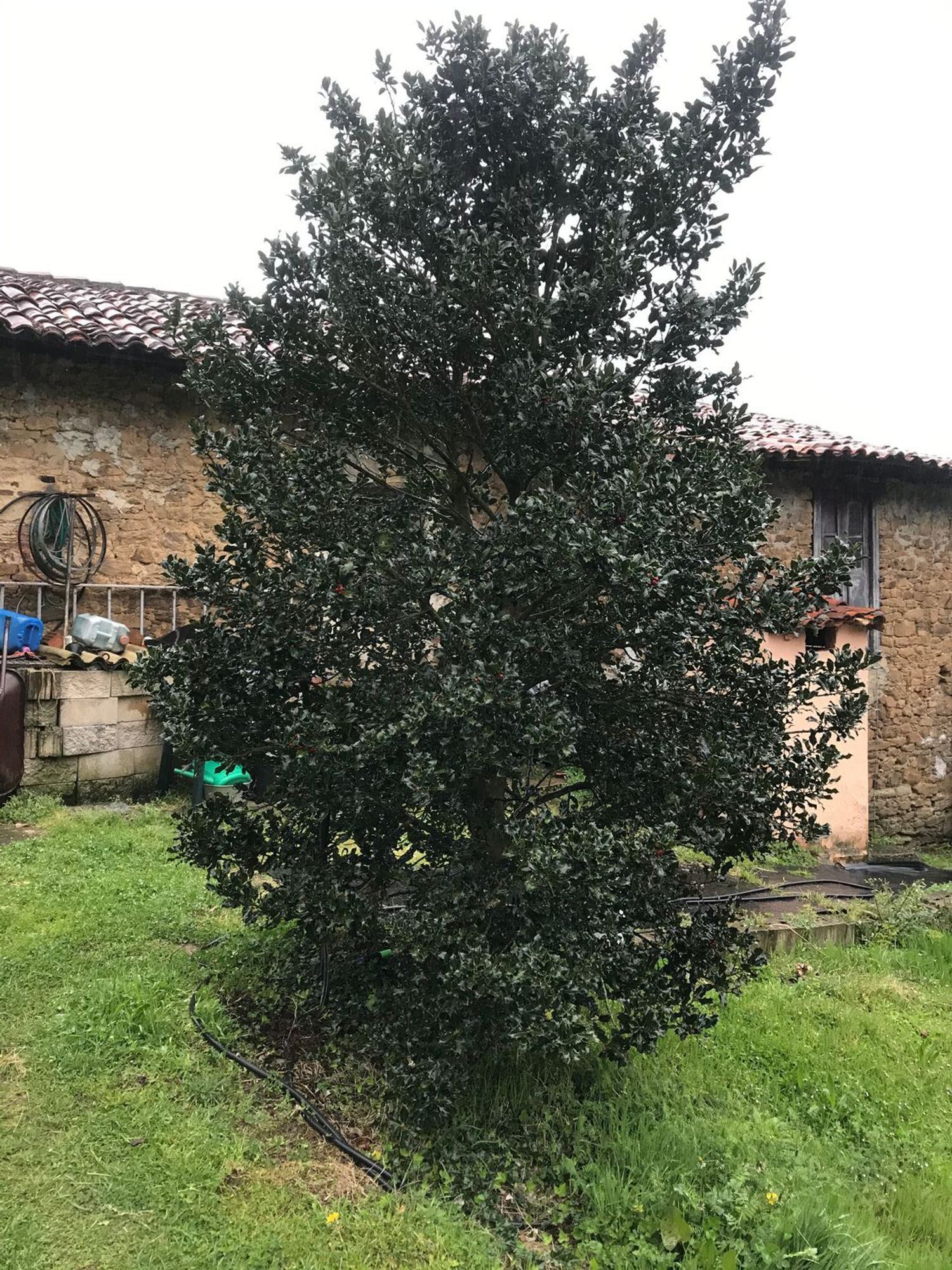 Fincas y solares-Venta-Mieres-447828-Foto-14