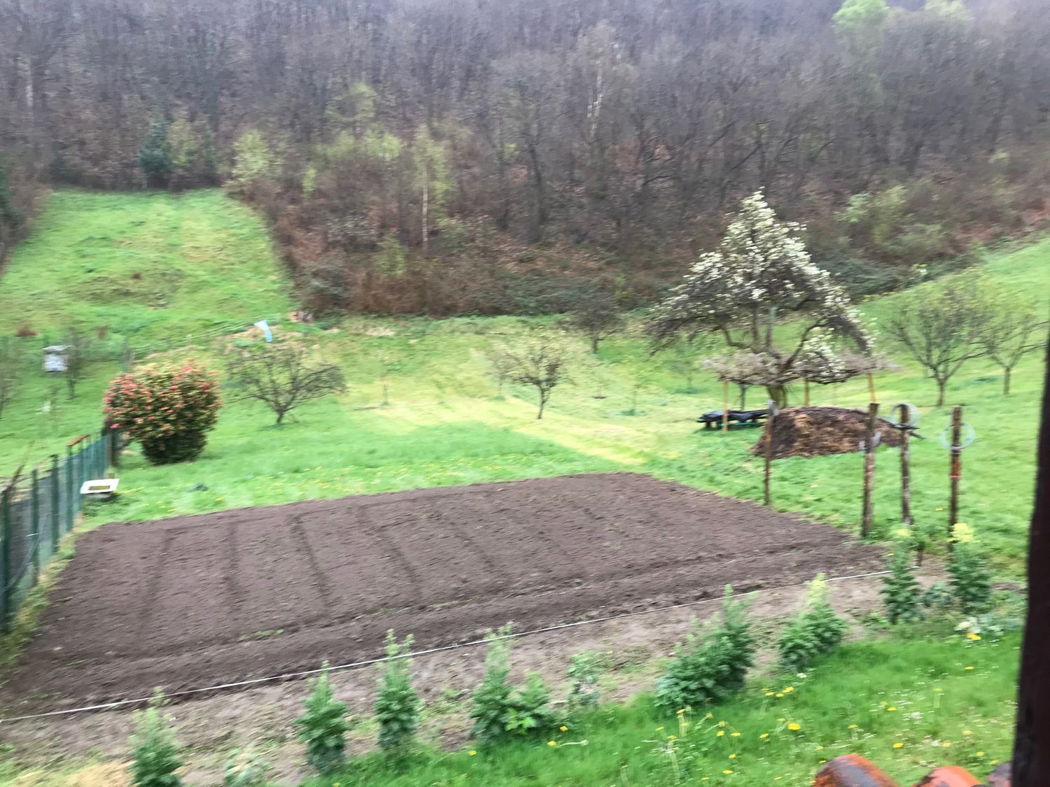 Fincas y solares-Venta-Mieres-447828-Foto-23