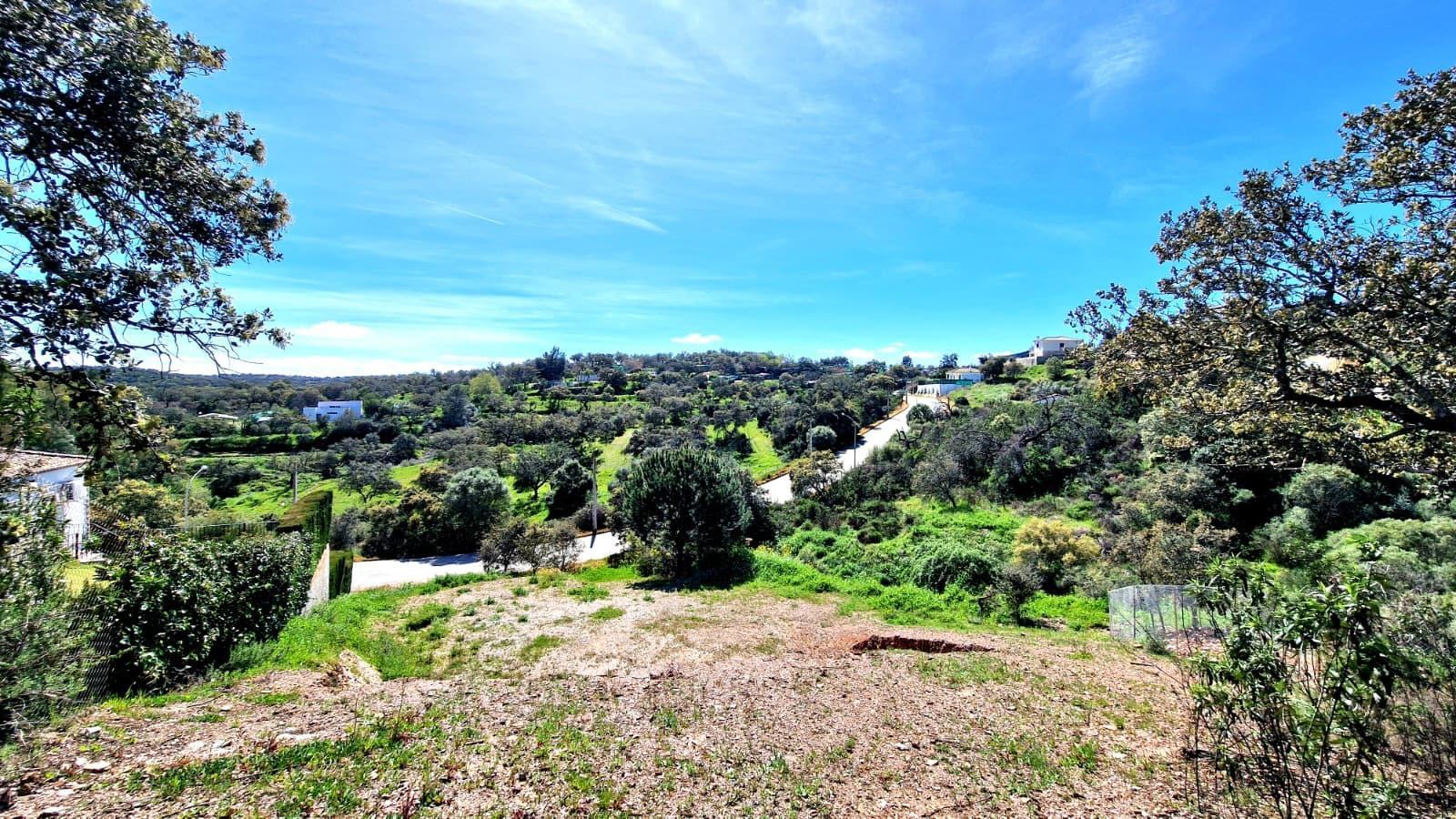 Fincas y solares-Venta-Guillena-2200687-Foto-2