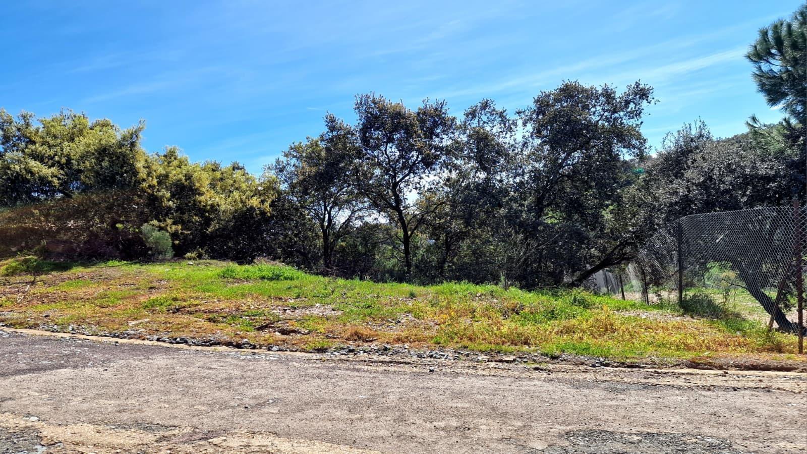 Fincas y solares-Venta-Guillena-2200687-Foto-3