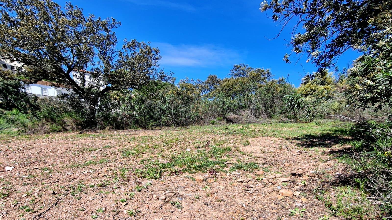 Fincas y solares-Venta-Guillena-2200687