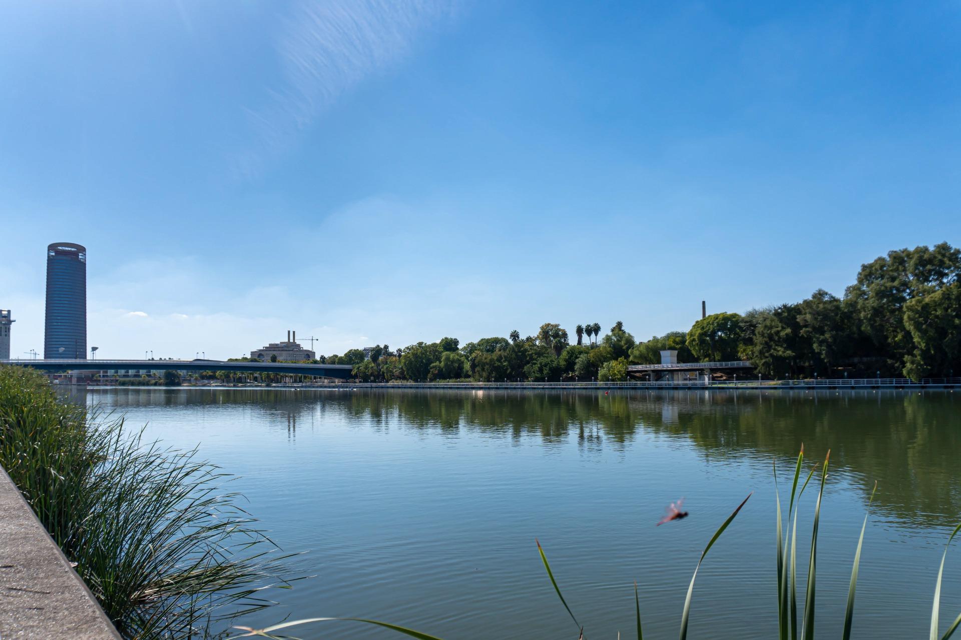 Pisos-Venta-Burguillos-2200696-Foto-26