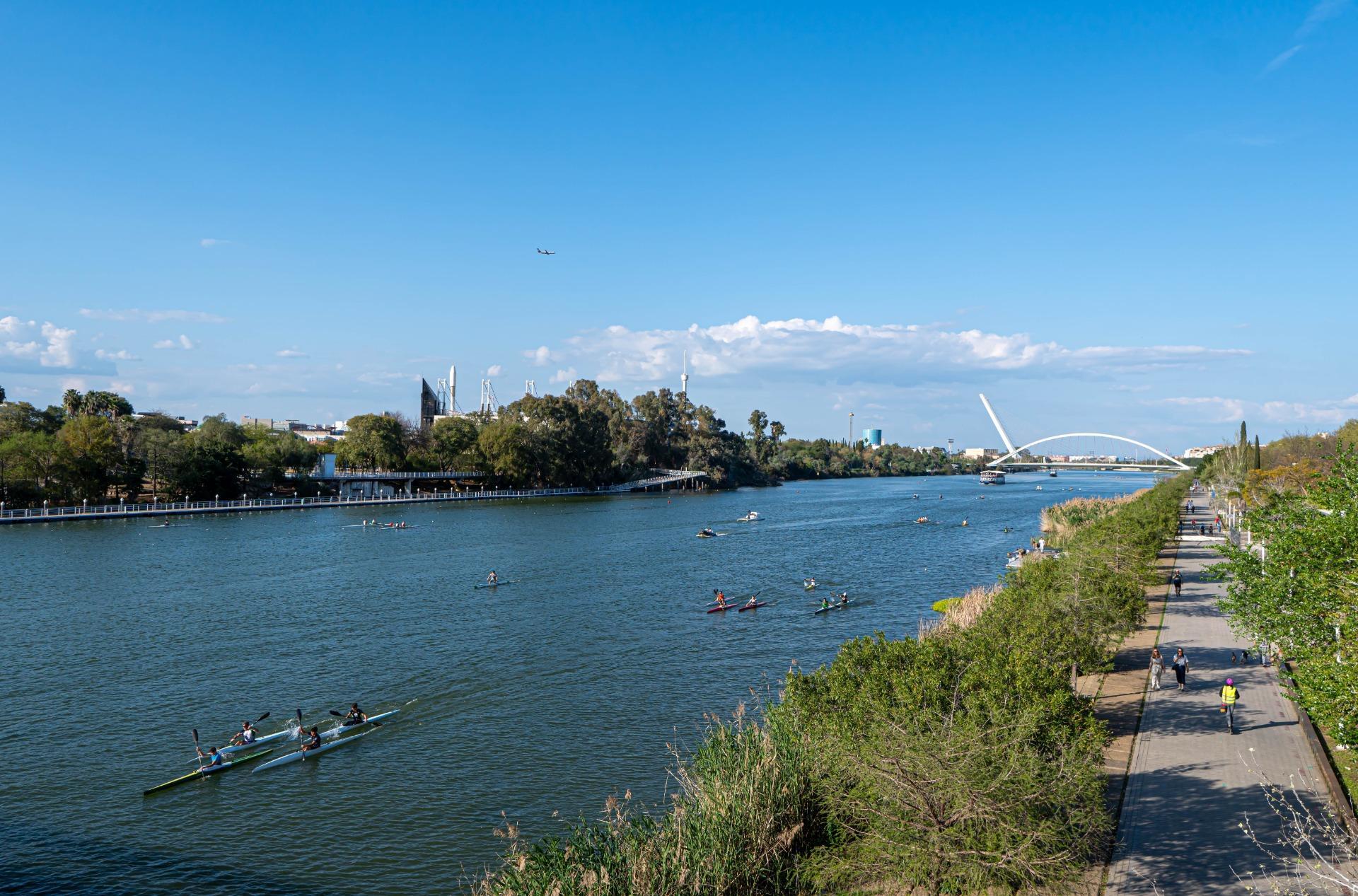 Pisos-Venta-Burguillos-2200696-Foto-27