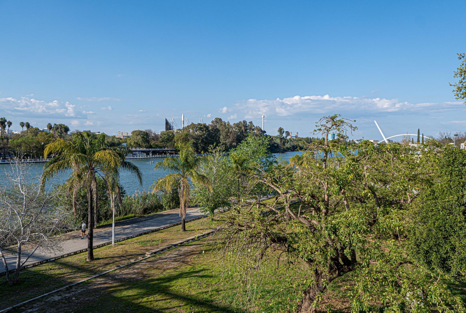 Pisos-Venta-Burguillos-2200696-Foto-28