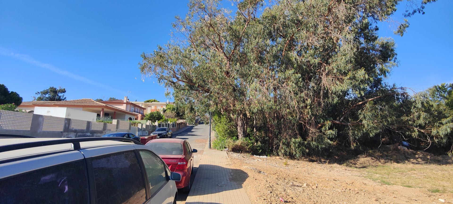 Fincas y solares-Venta-Lepe-1836851-Foto-7