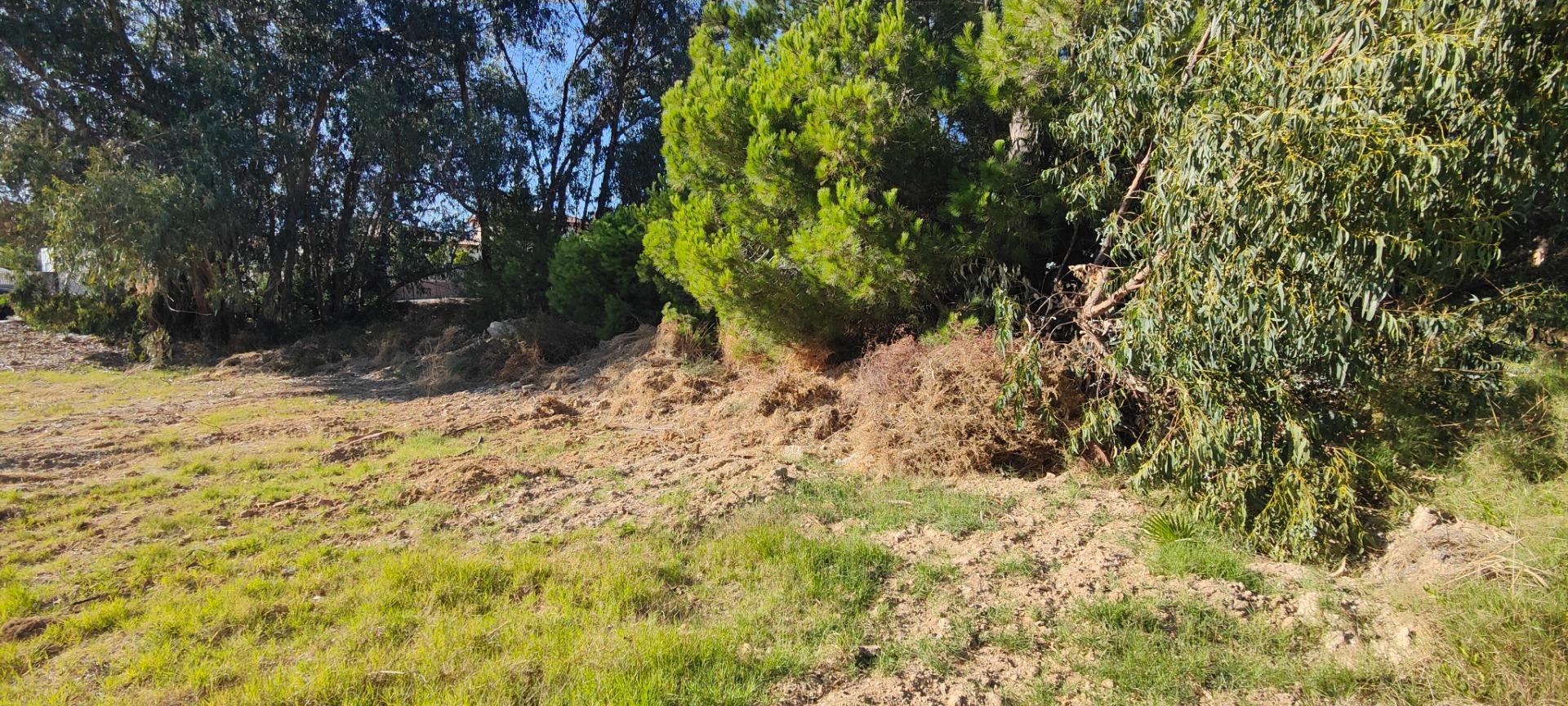 Fincas y solares-Venta-Lepe-1836851-Foto-16