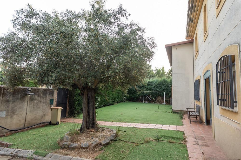 Casas o chalets-Venta-CÃ¡ceres-1968933-Foto-3