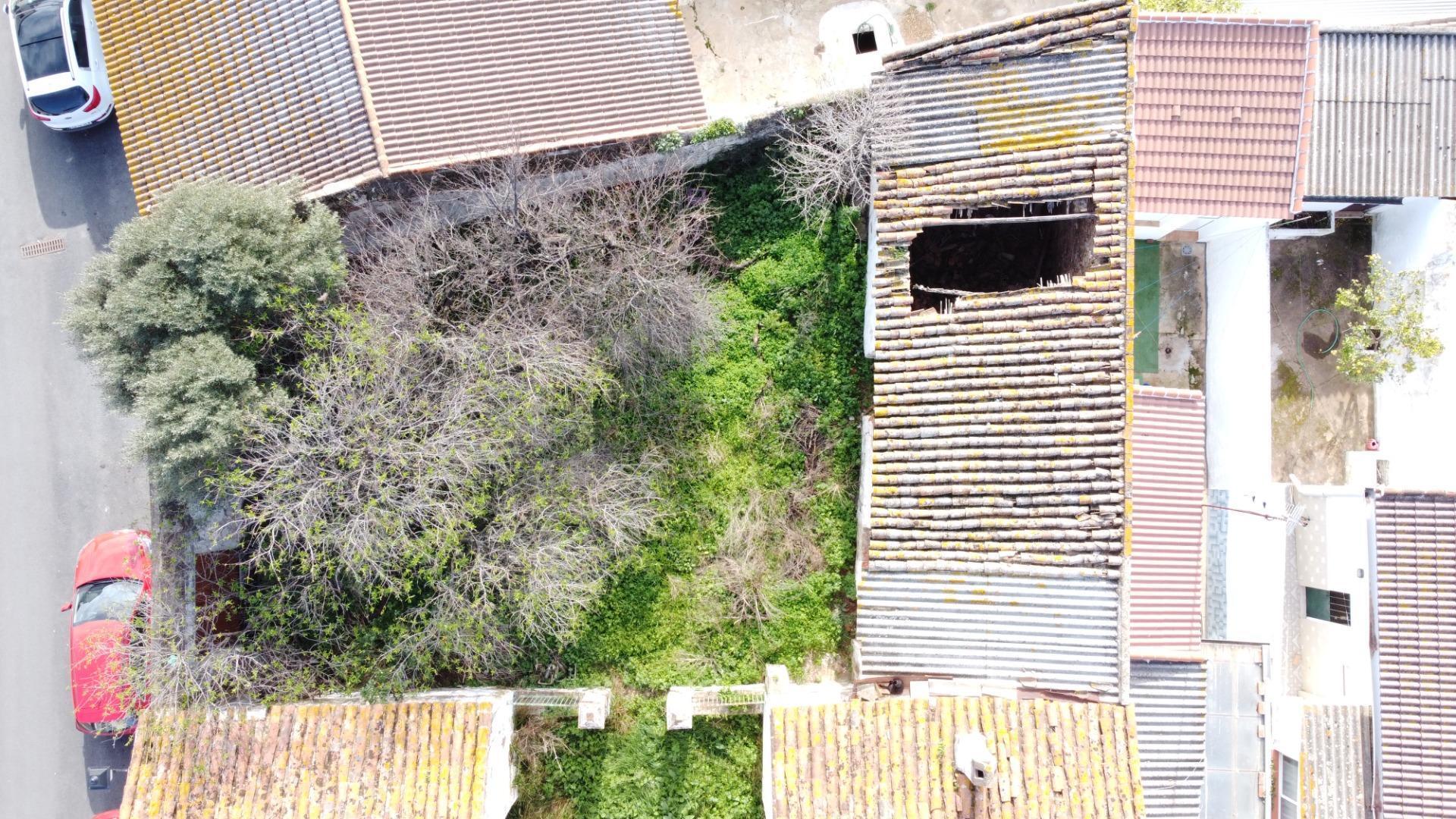 Casas o chalets-Venta-Alosno-1031210-Foto-6