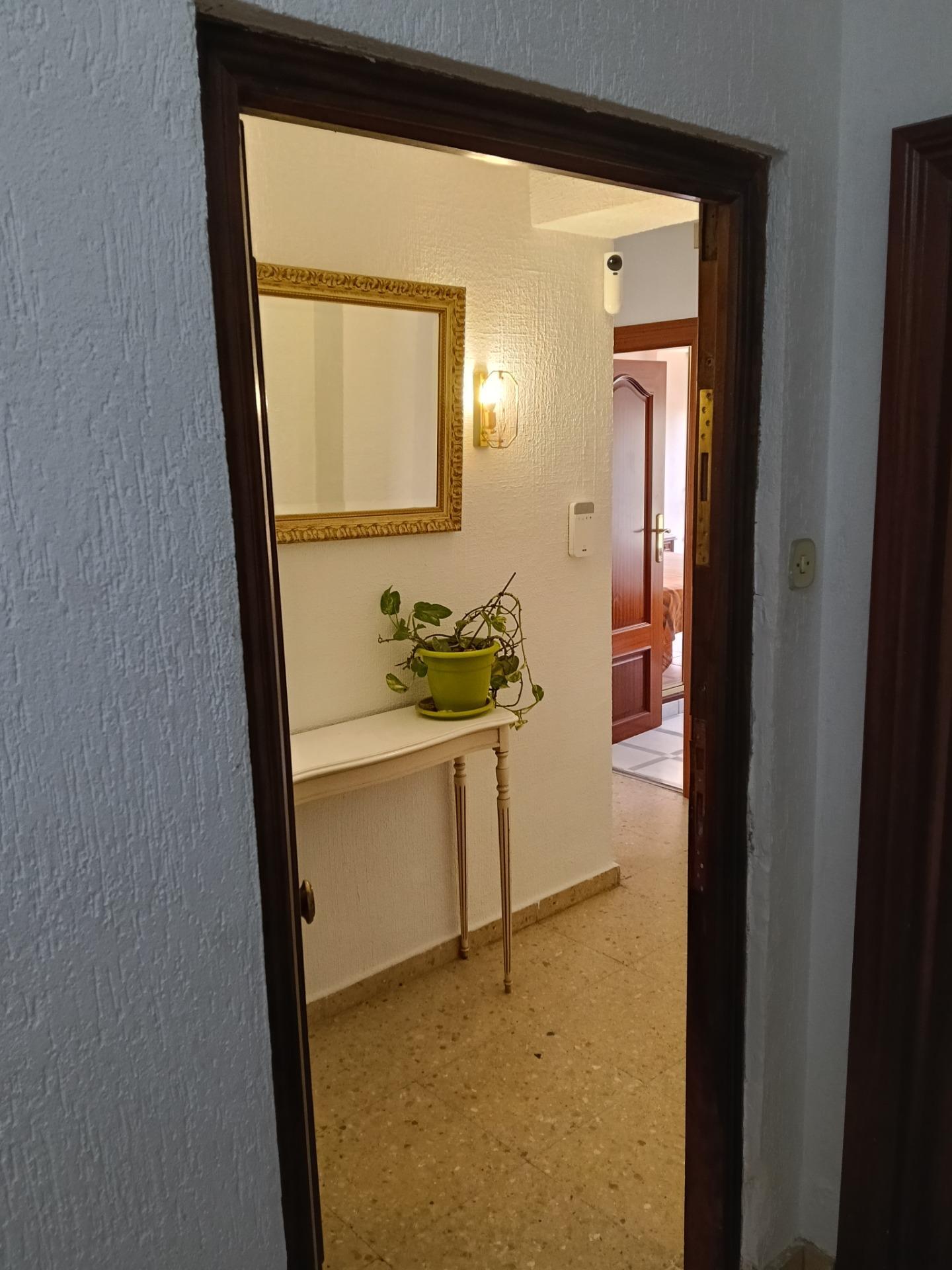 Pisos-Venta-Alicante-2208880-Foto-5