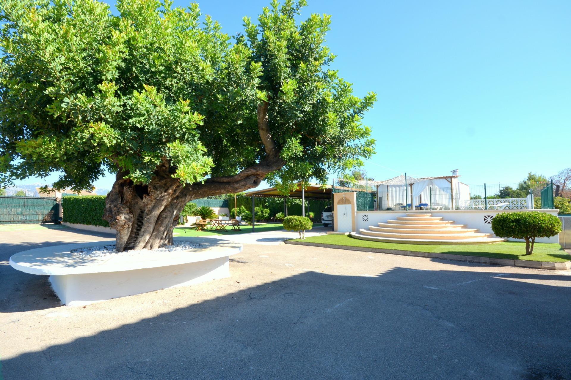 Casas o chalets-Venta-MarratxÃ­-1866080-Foto-68