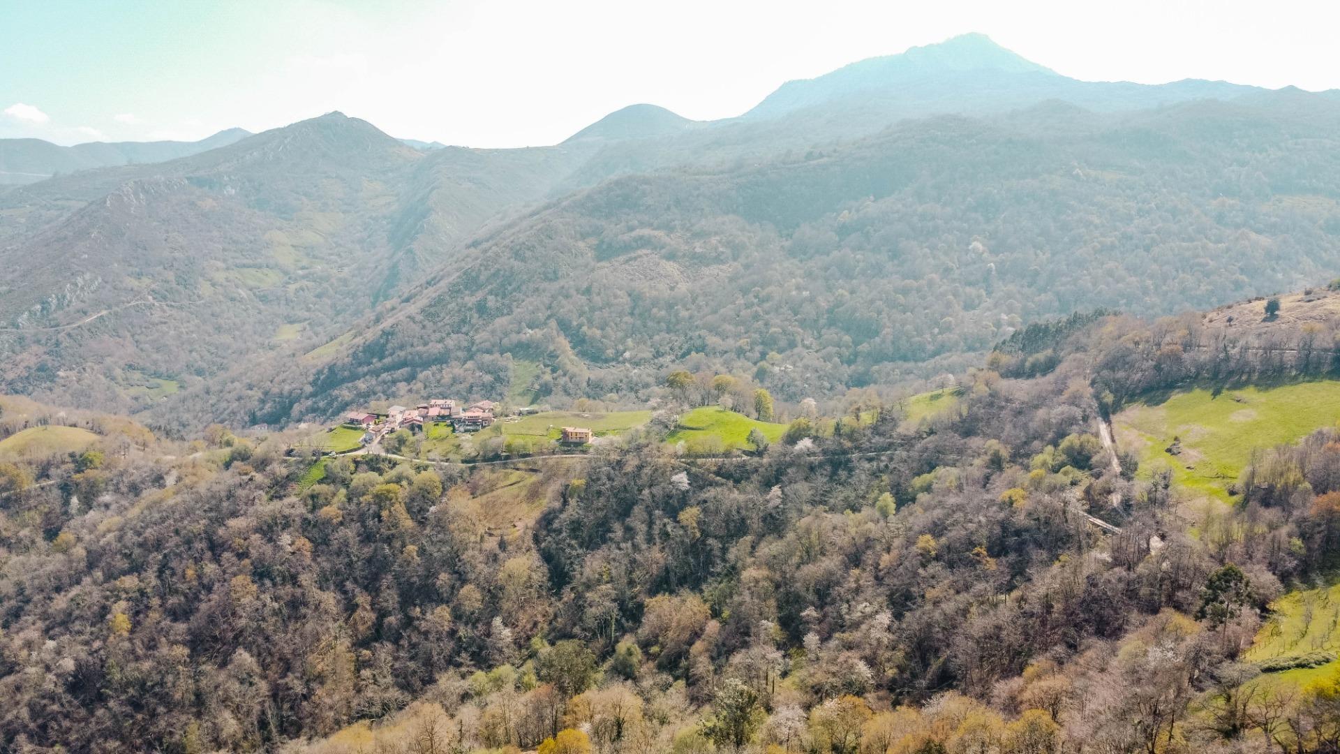 Casas o chalets-Venta-Las Navas del MarquÃ©s-2200732-Foto-40