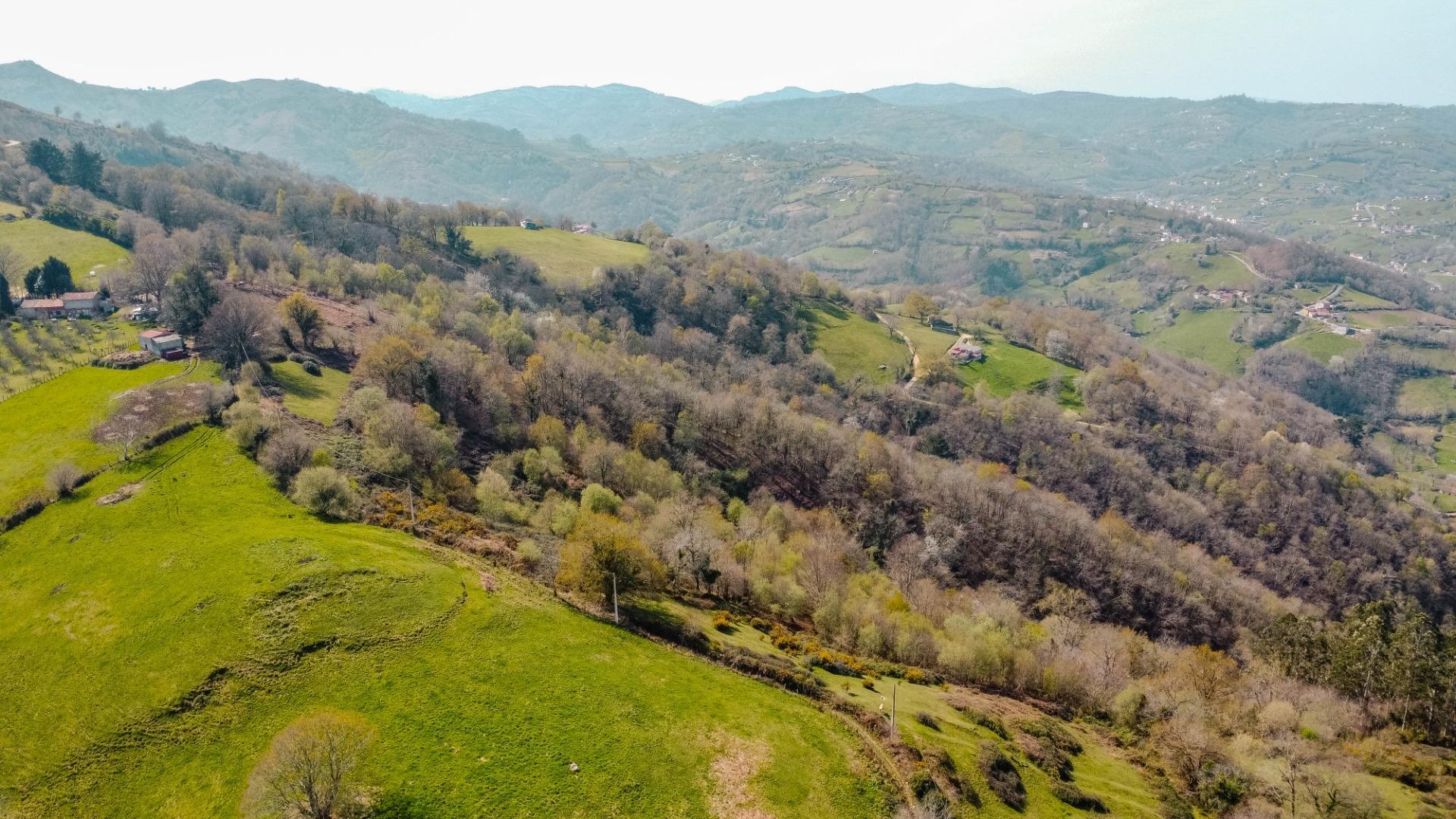 Casas o chalets-Venta-Las Navas del MarquÃ©s-2200732-Foto-47