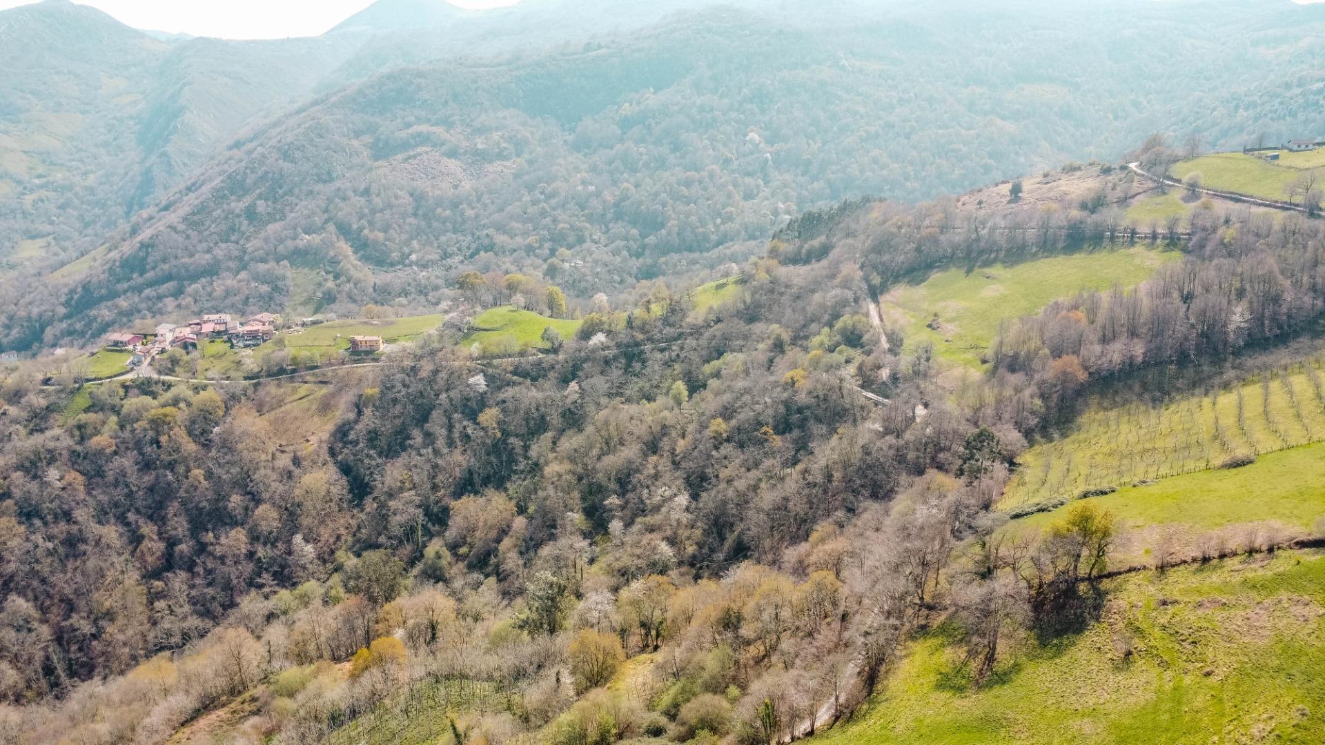 Casas o chalets-Venta-Las Navas del MarquÃ©s-2200732-Foto-49